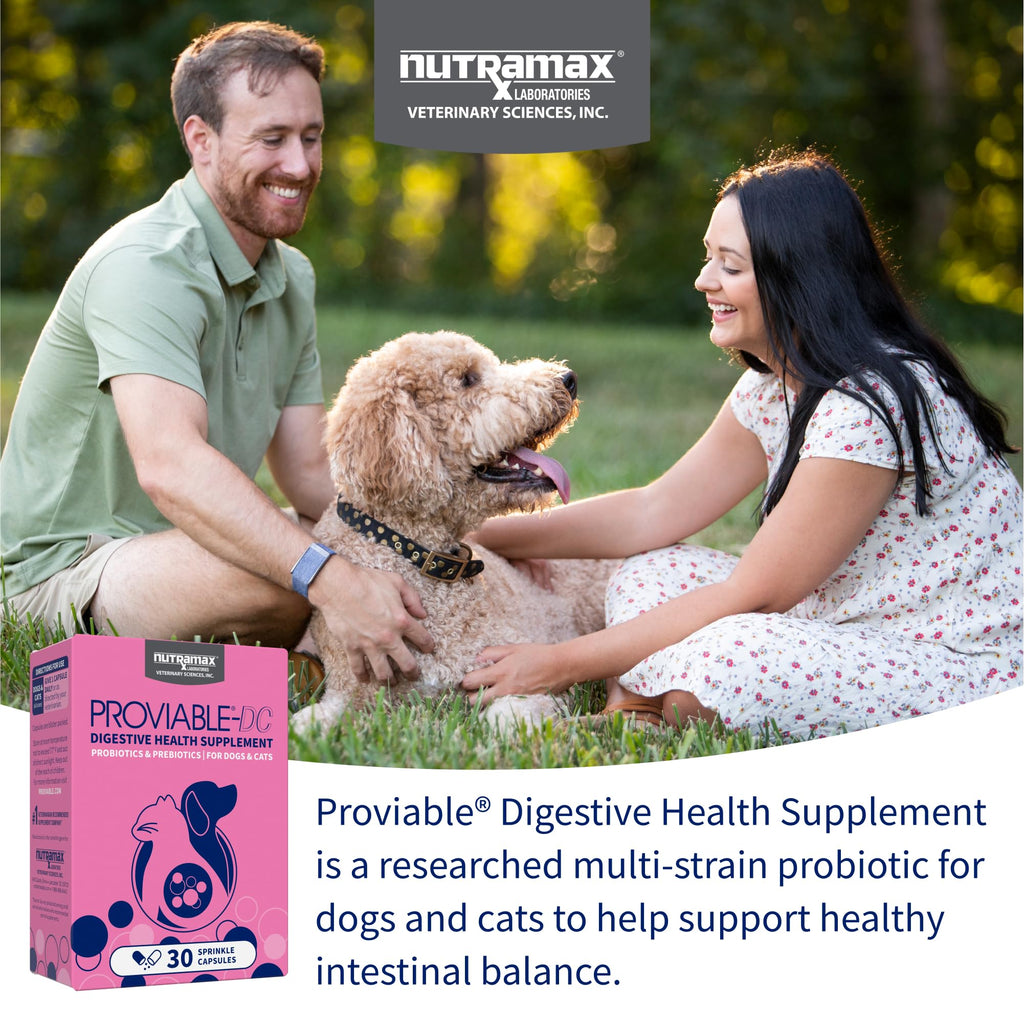 Probiotic Supplement for Dogs & Cats