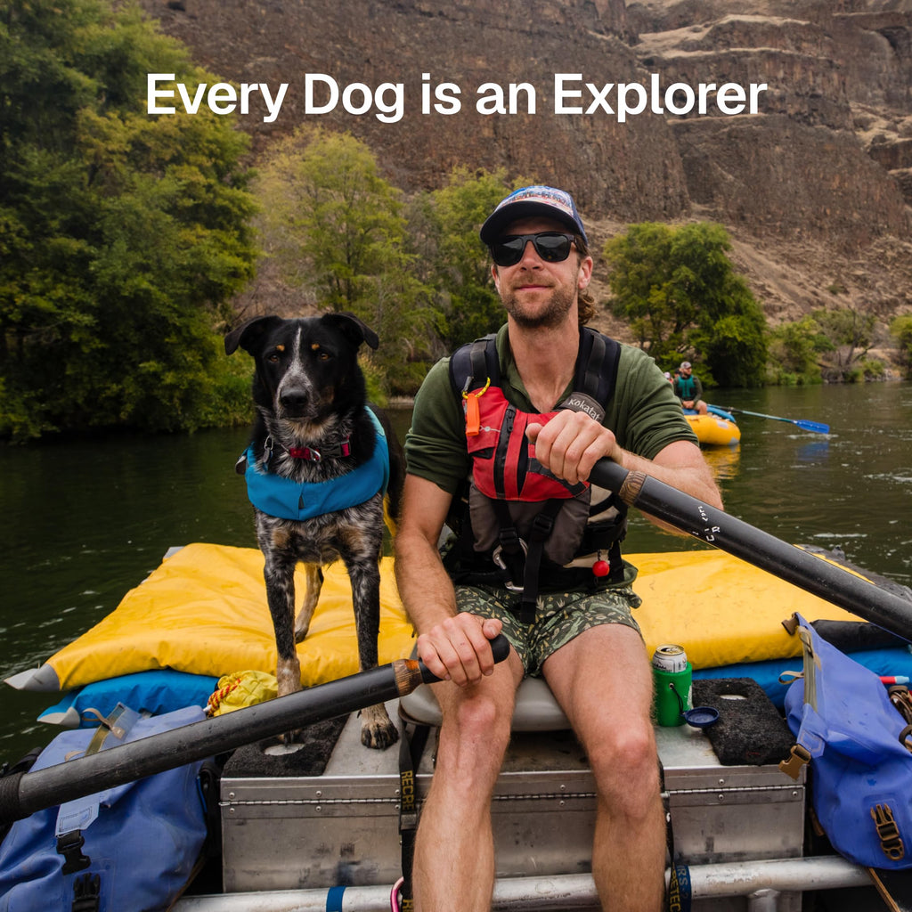 Dog Life Jacket