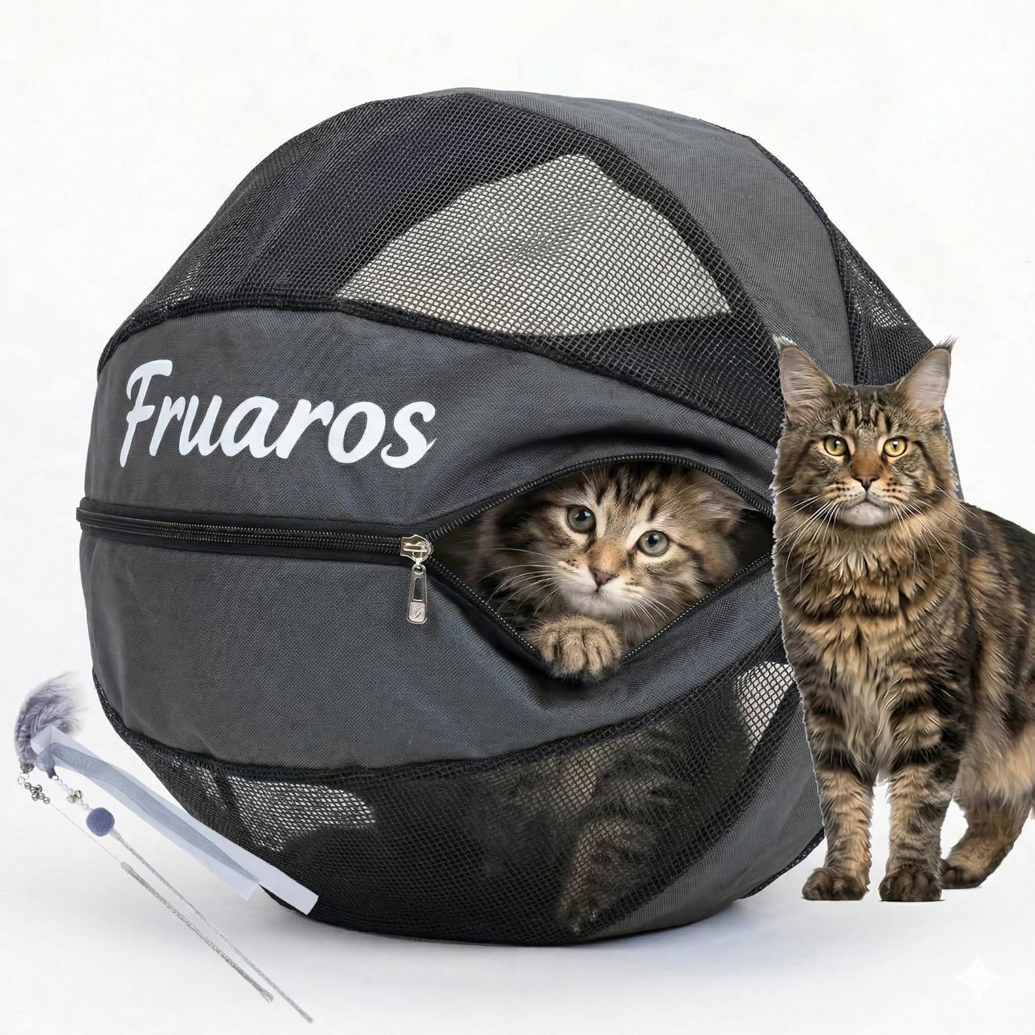Outdoor Cat Exercise Ball 2.0