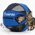 Outdoor Cat Exercise Ball 2.0