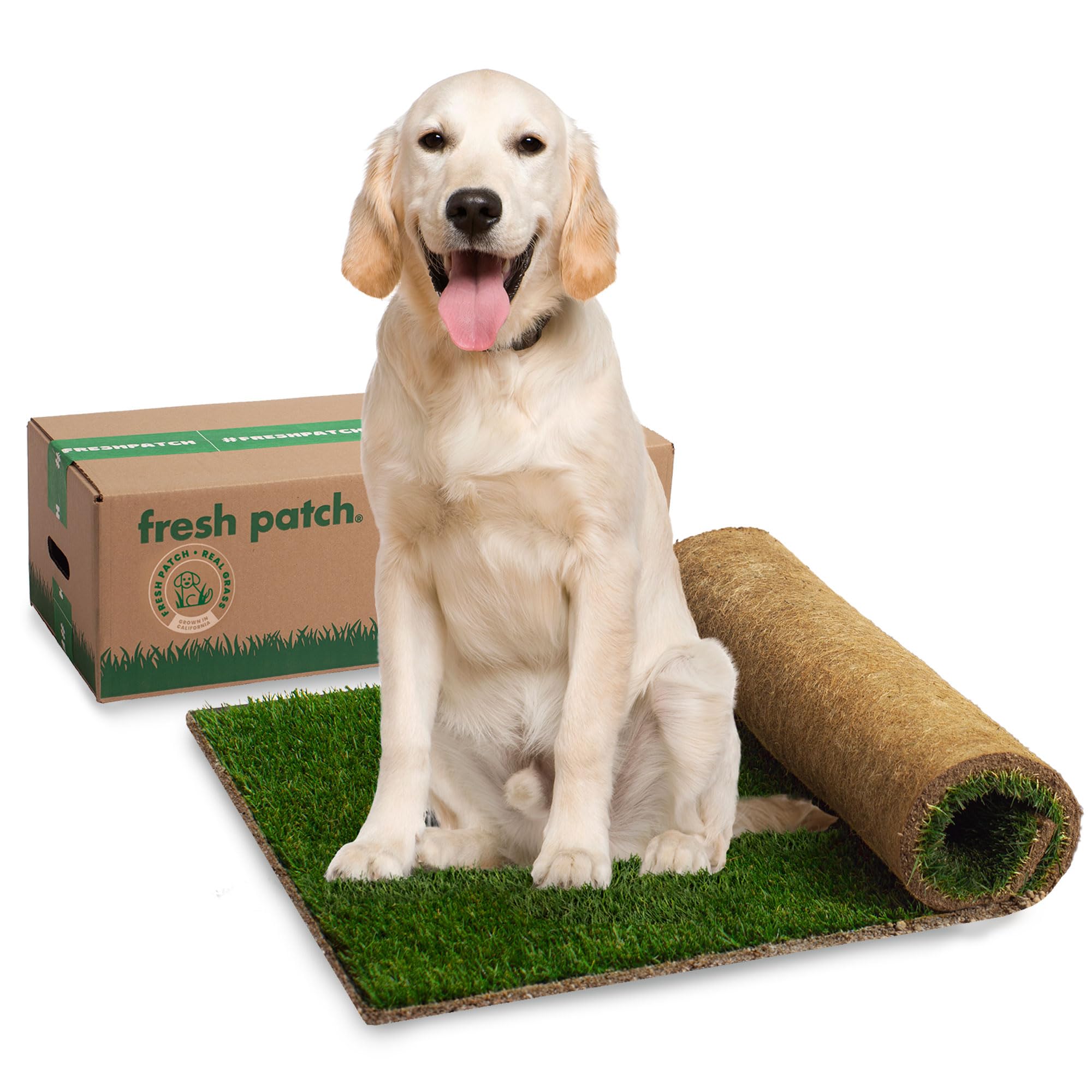 Fresh Patch Disposable Dog Potty with Real Grass