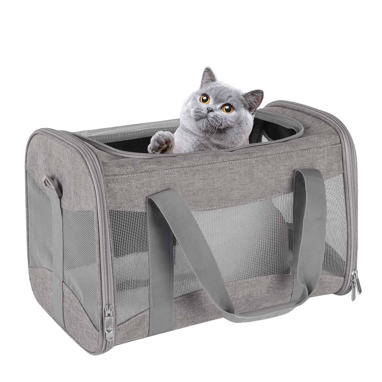 Airline-Approved Pet Carrier