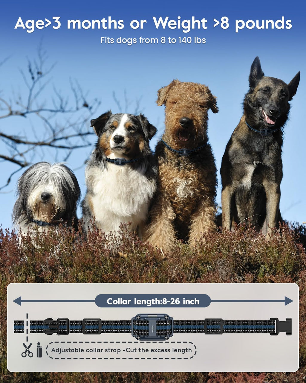 Remote Dog Training Collar