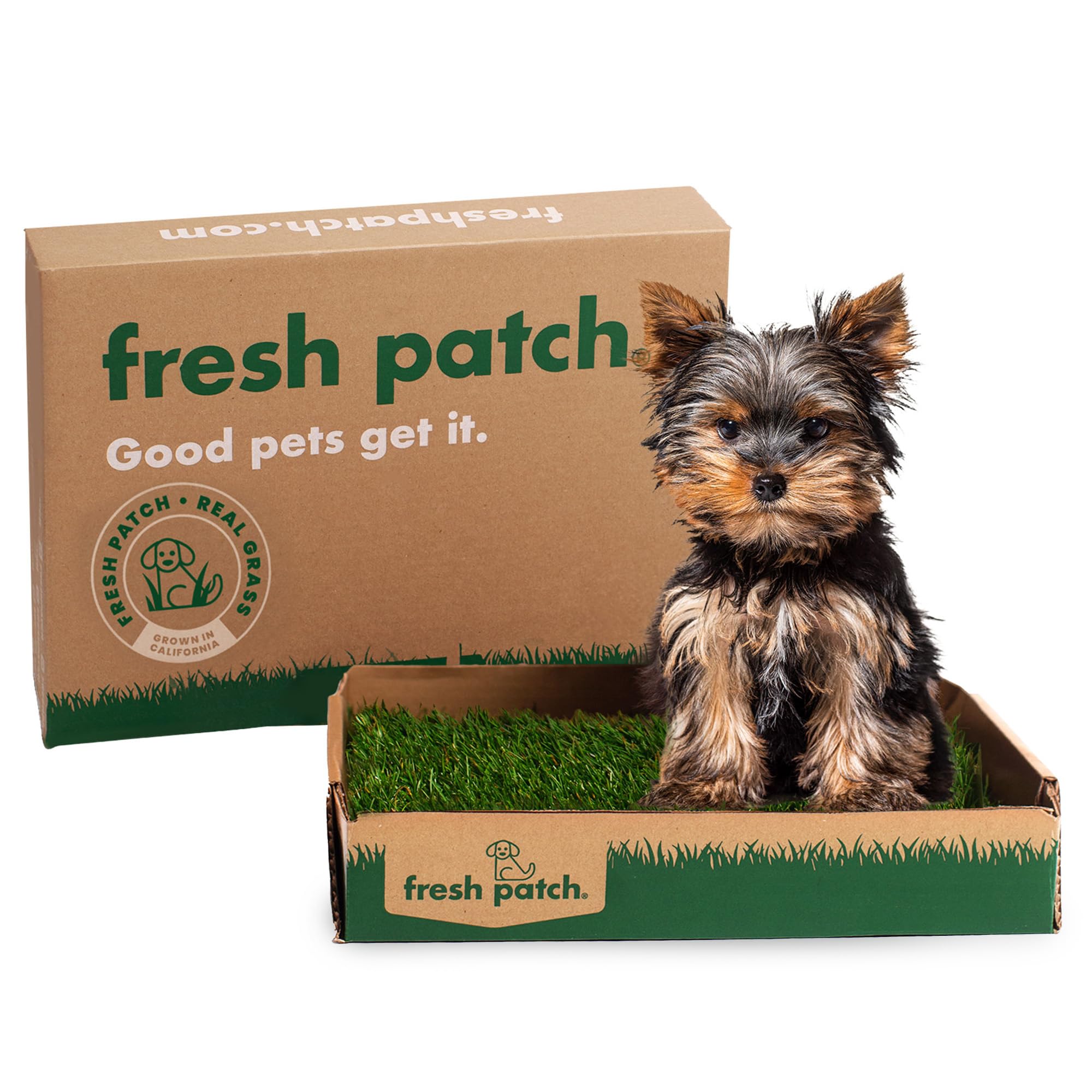 Fresh Patch Disposable Dog Potty with Real Grass