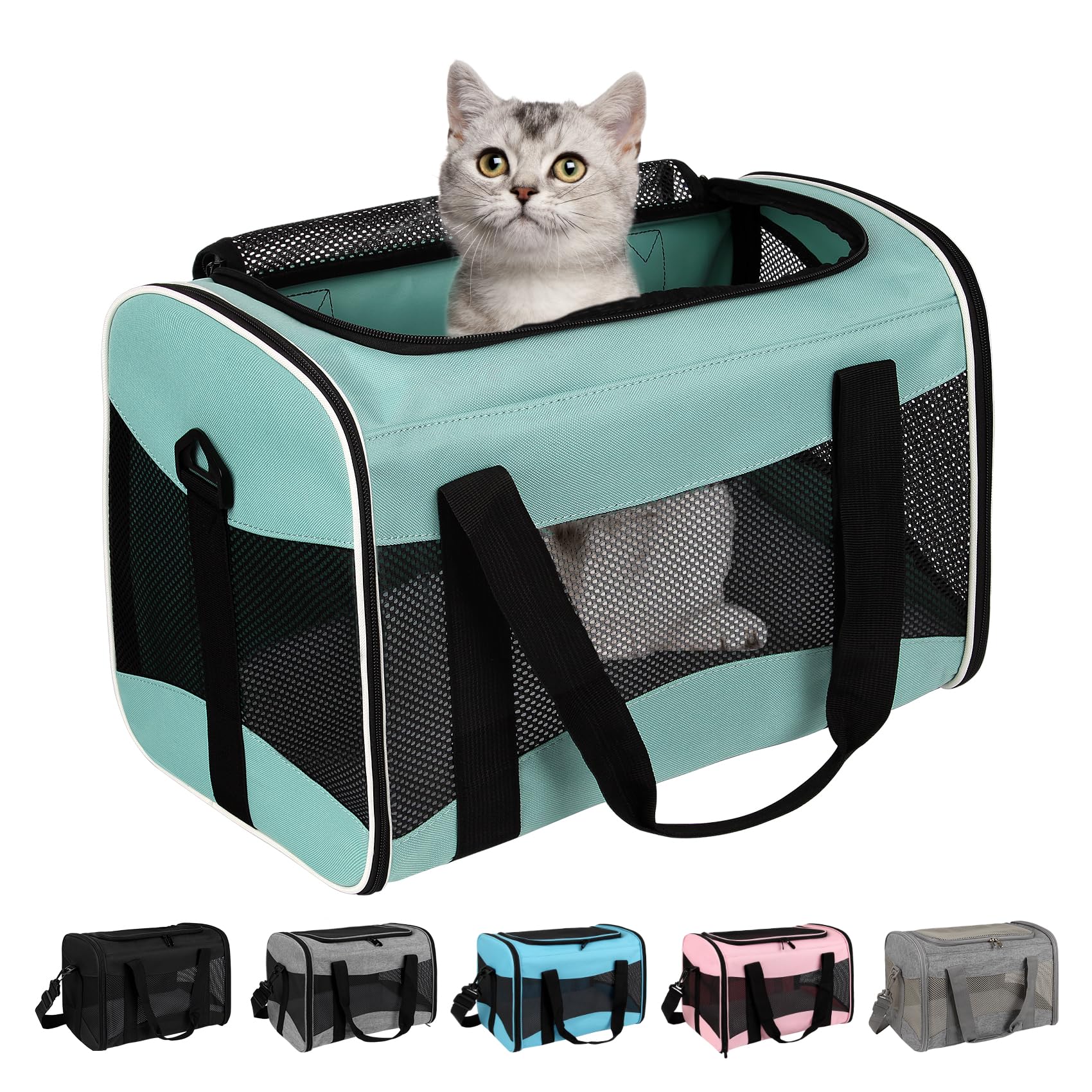 Airline-Approved Pet Carrier