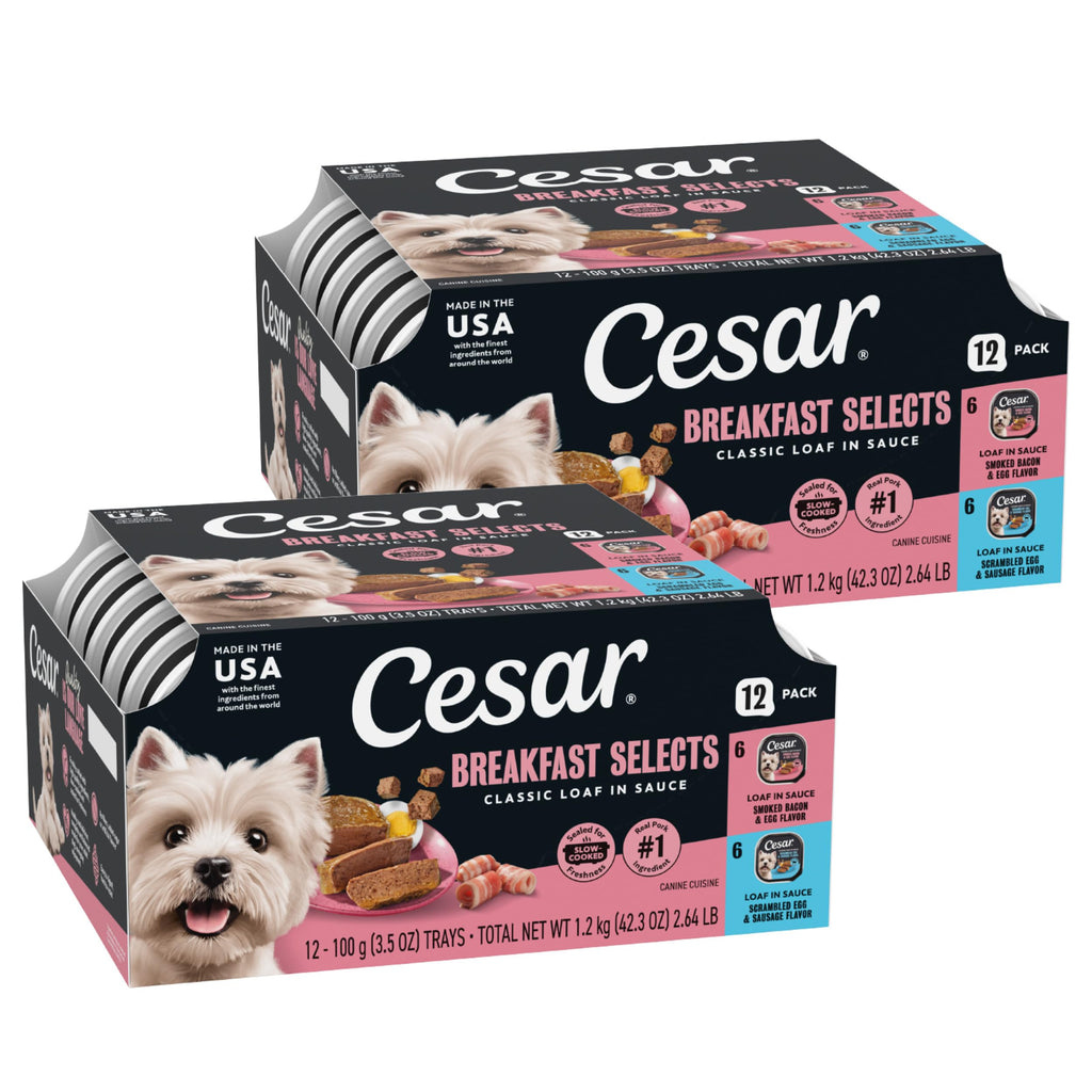 Backyard Cookout Wet Dog Food Variety Pack