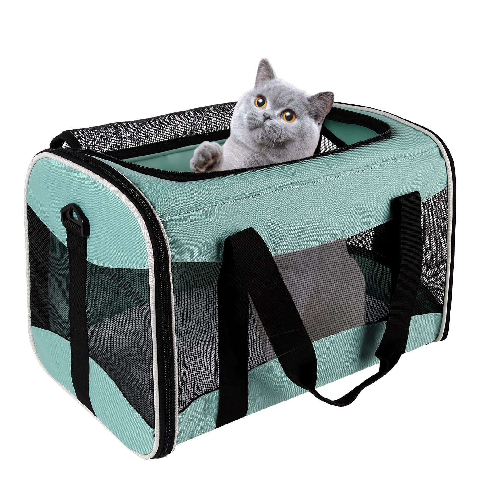 Airline-Approved Pet Carrier