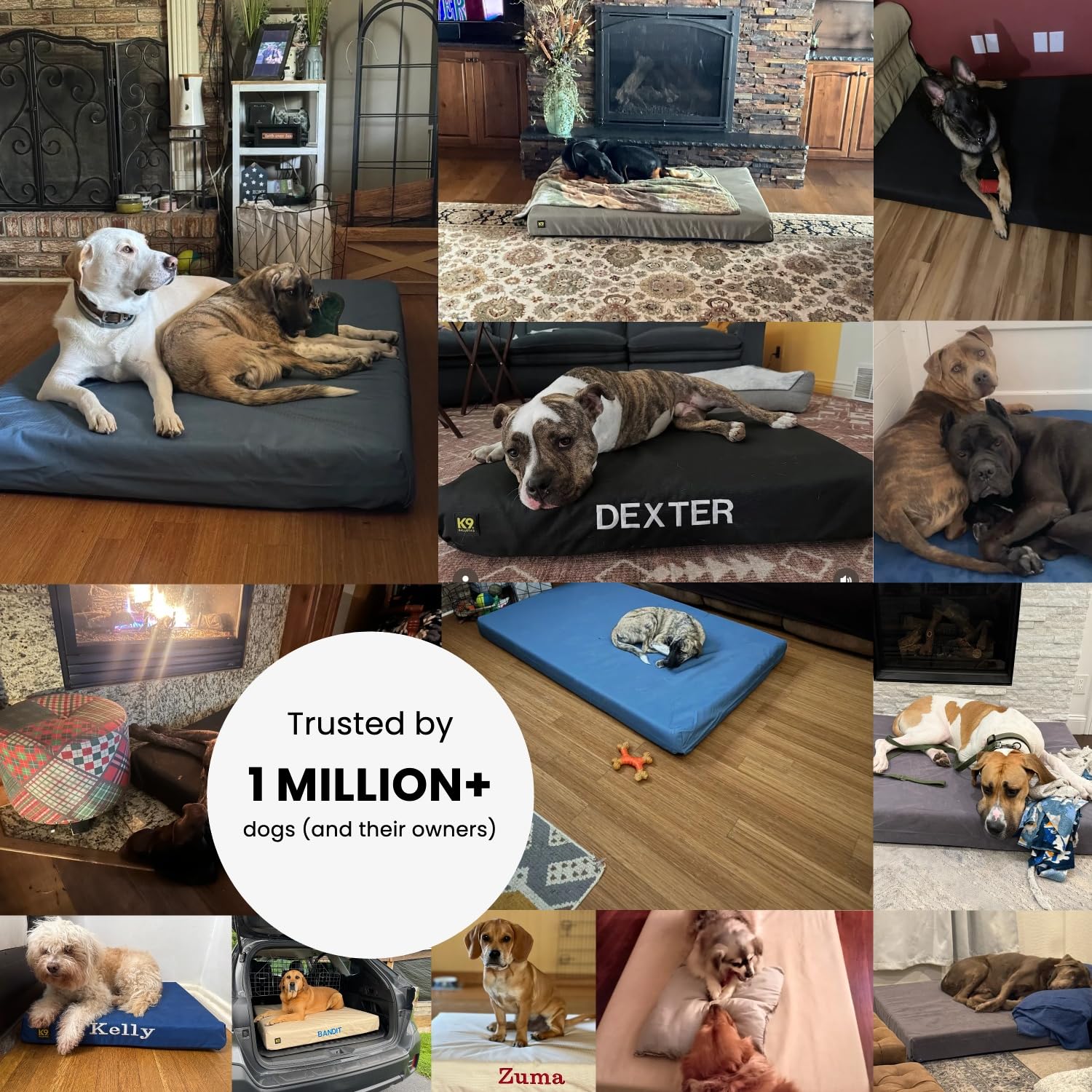 Chew-Resistant Orthopedic Dog Bed