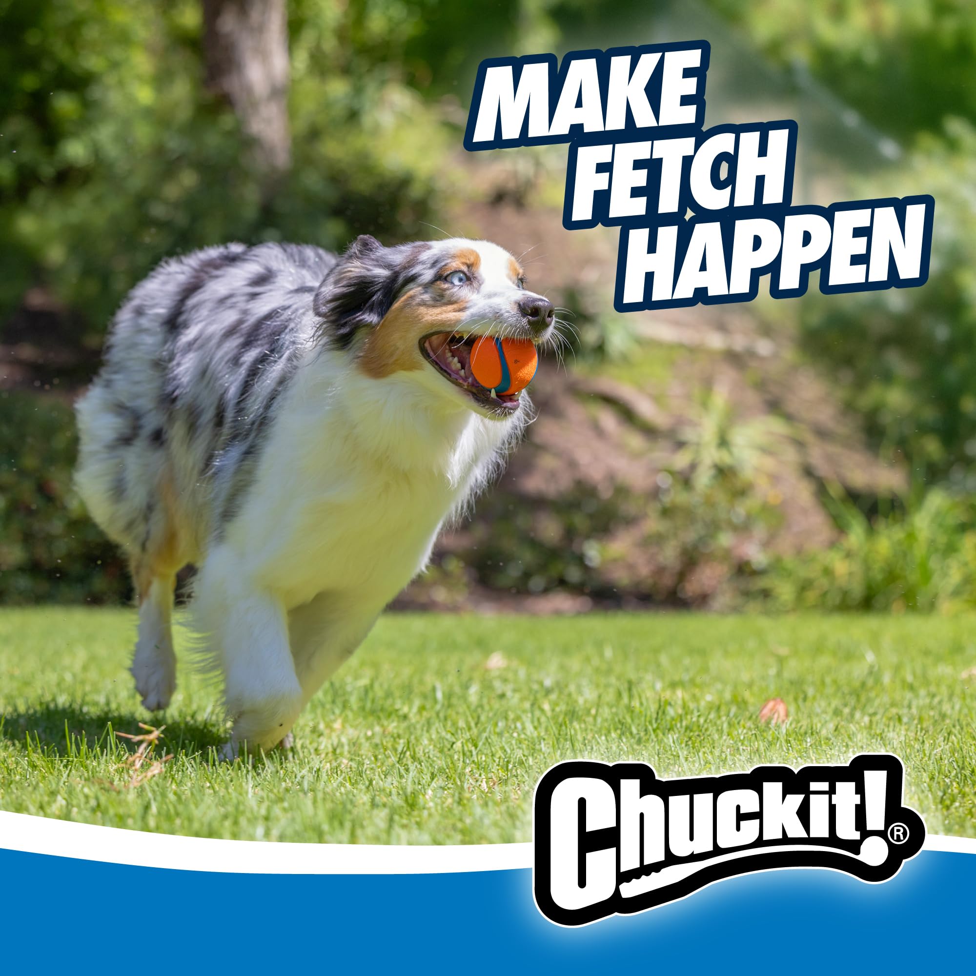 Indoor Fetch Ball & Launcher Set
