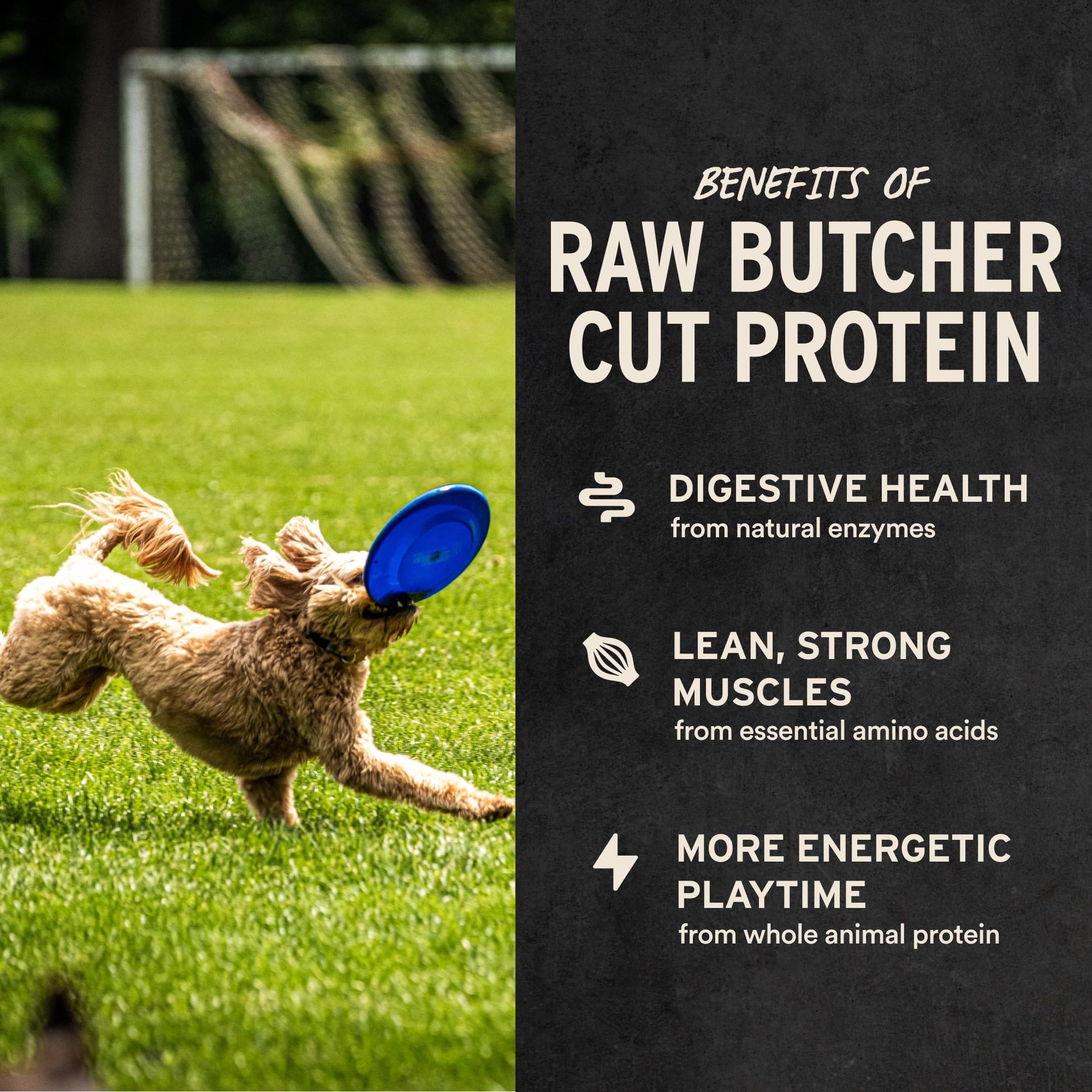 Freeze-Dried Beef Liver Dog Treats 15 oz