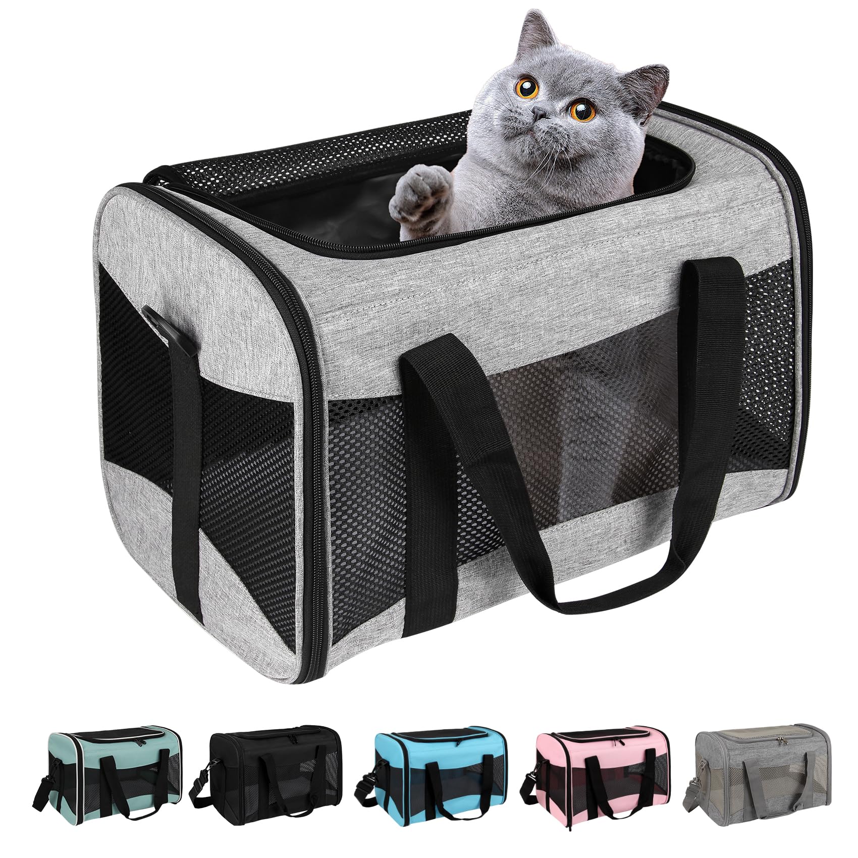 Airline-Approved Pet Carrier