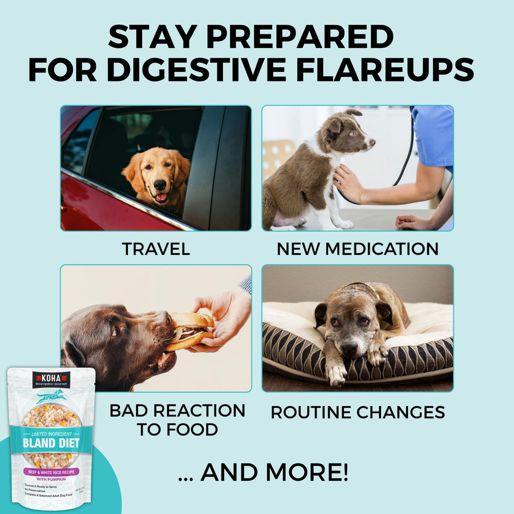 Limited Ingredient Bland Diet Dog Food