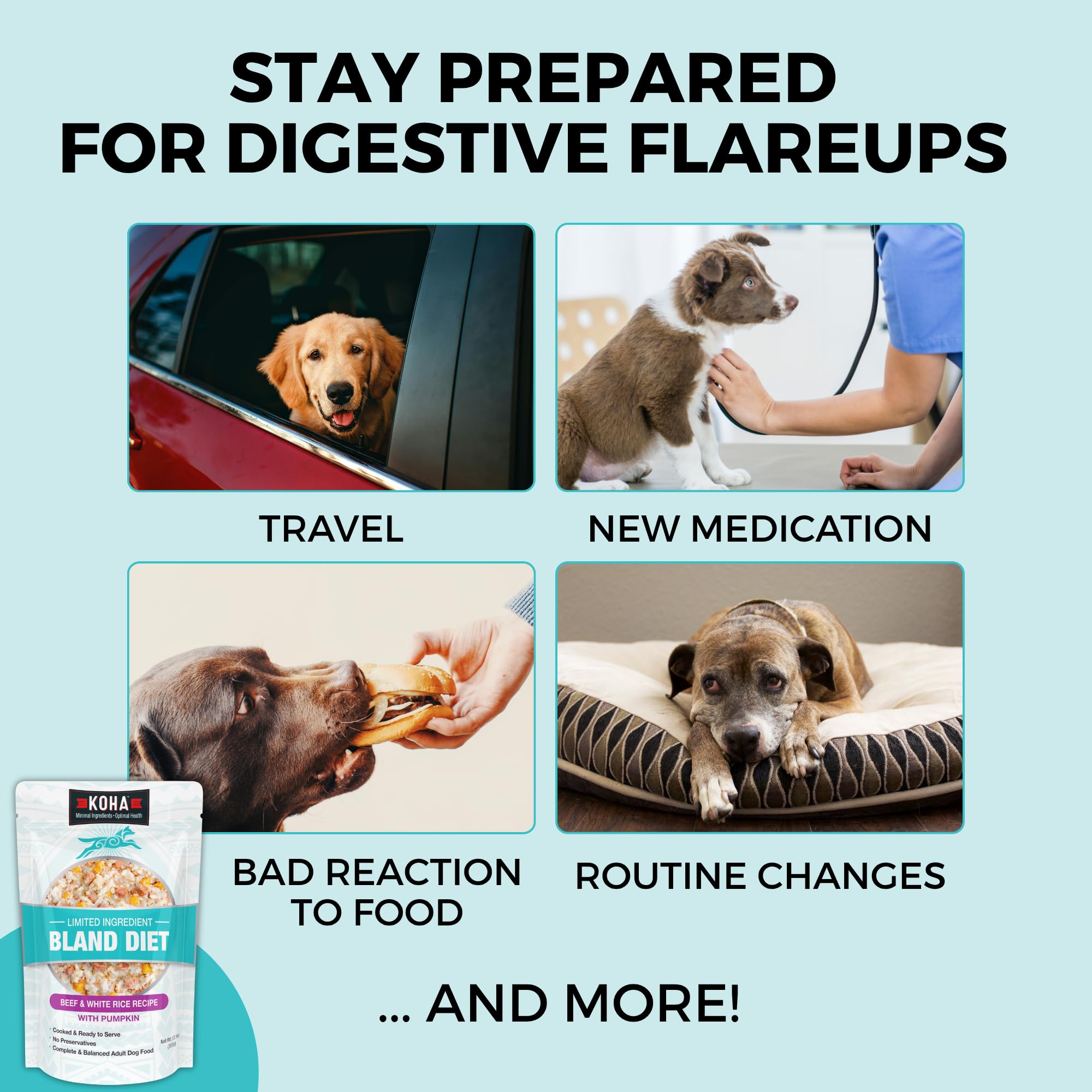 Limited Ingredient Bland Diet Dog Food