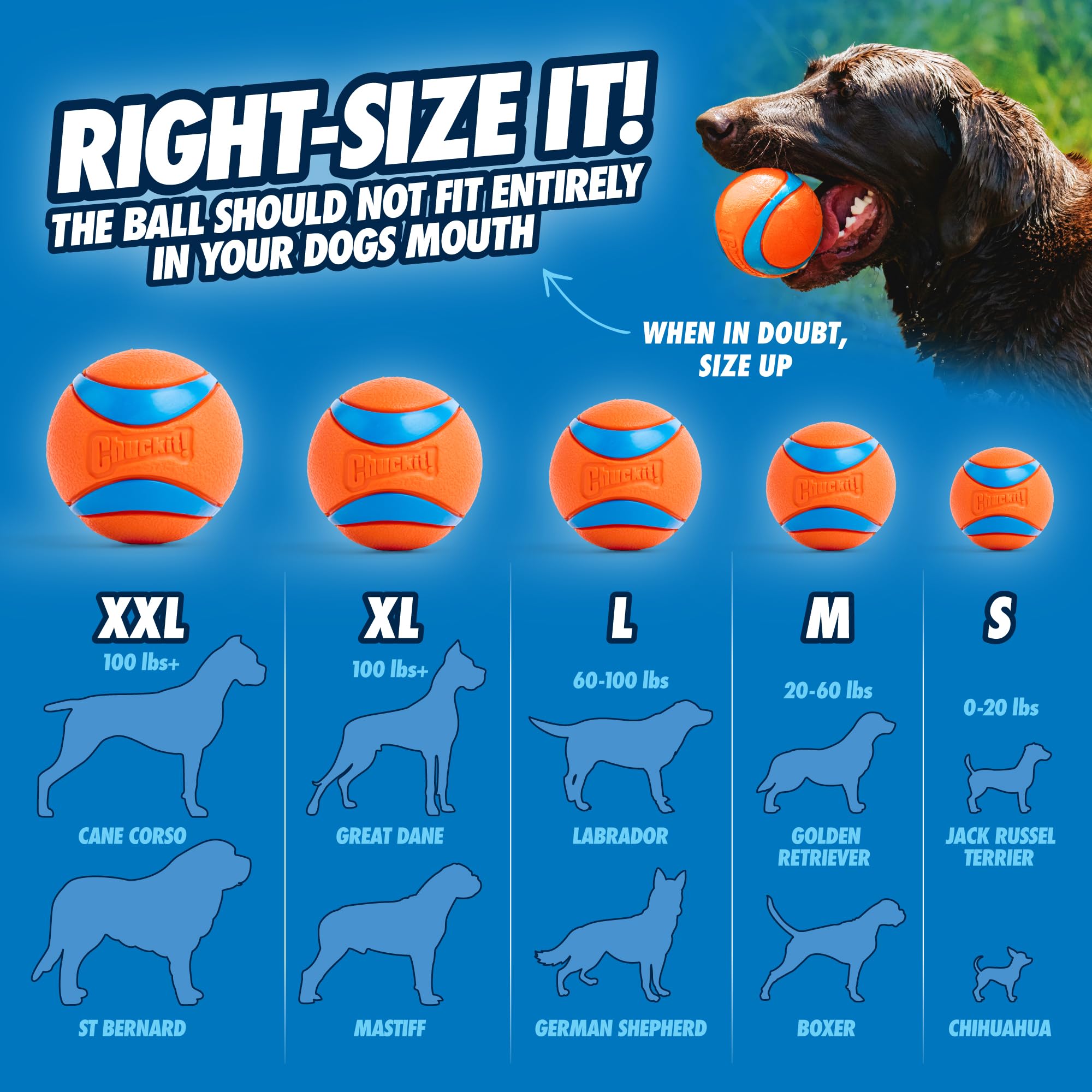 Indoor Fetch Ball & Launcher Set