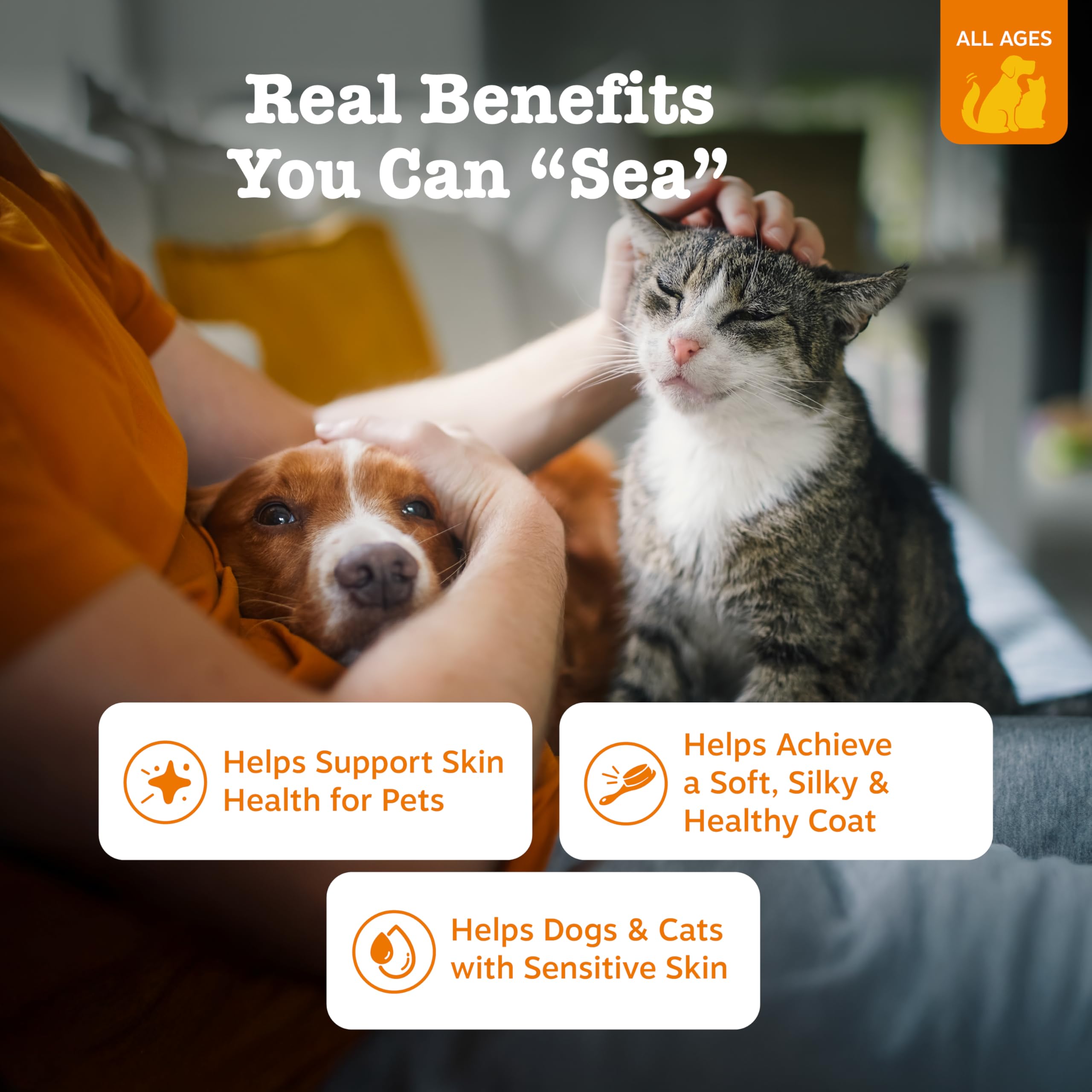 Omega-3 Salmon Oil for Pets