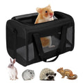 Airline-Approved Pet Carrier