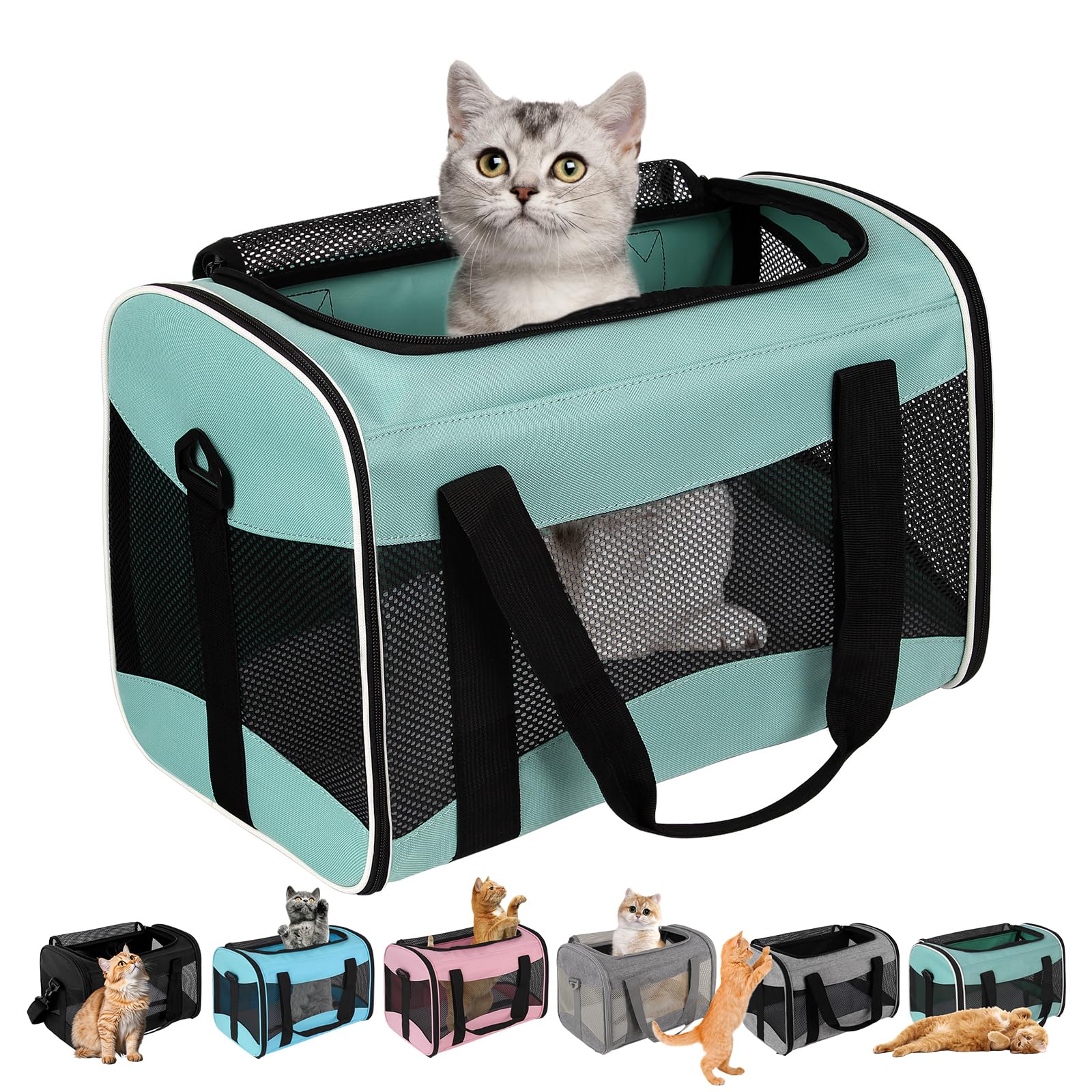 Airline-Approved Pet Carrier