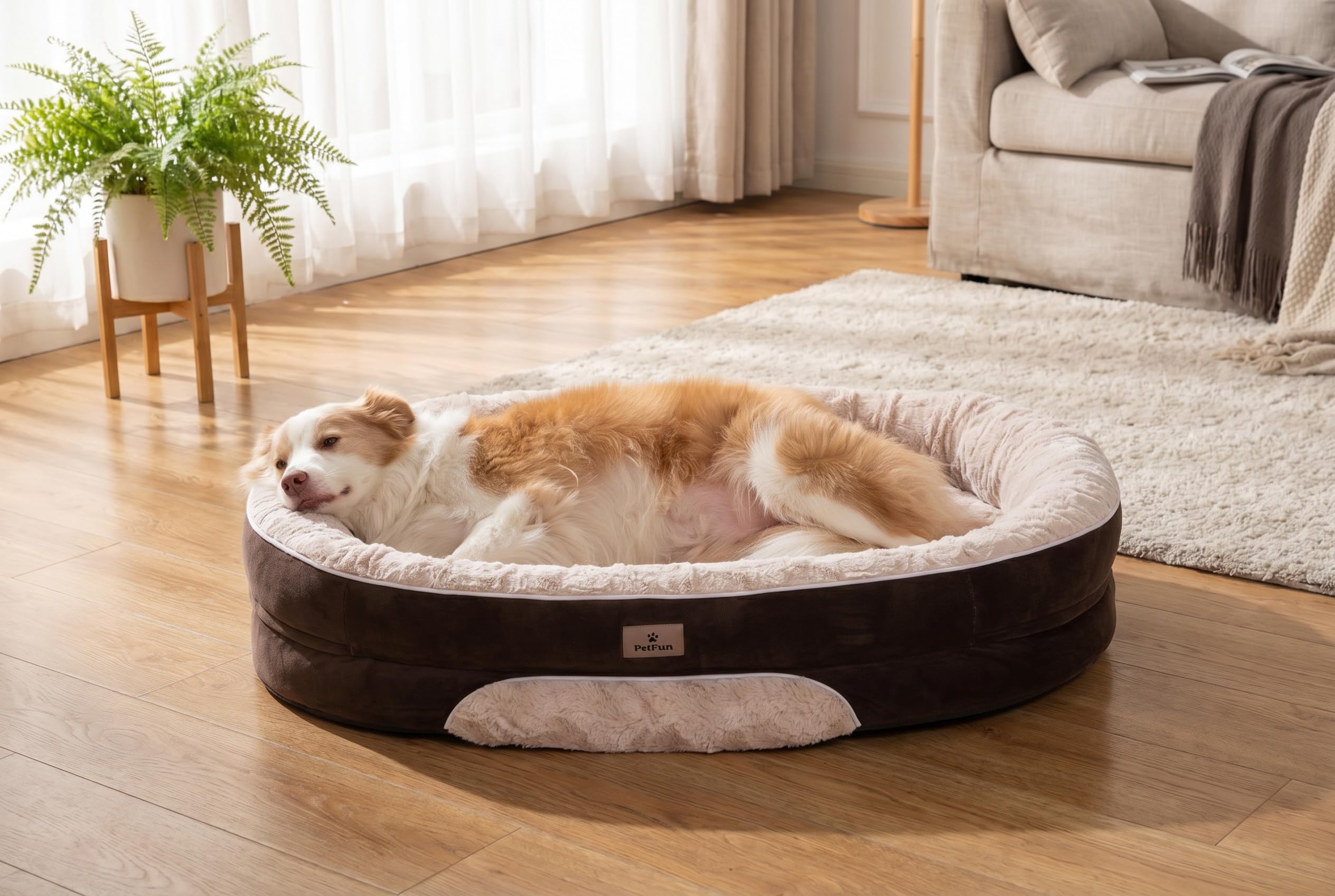 Orthopedic Memory Foam Dog Sofa Bed