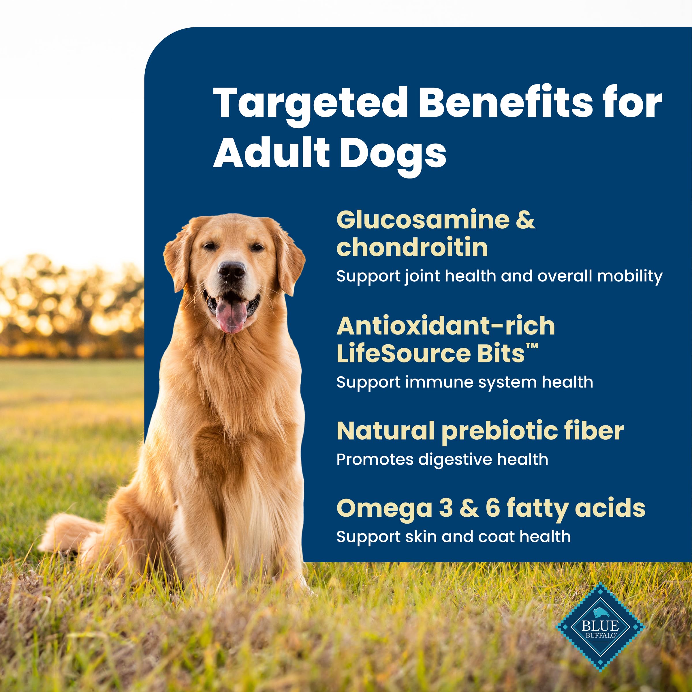 Life Protection Adult Dry Dog Food