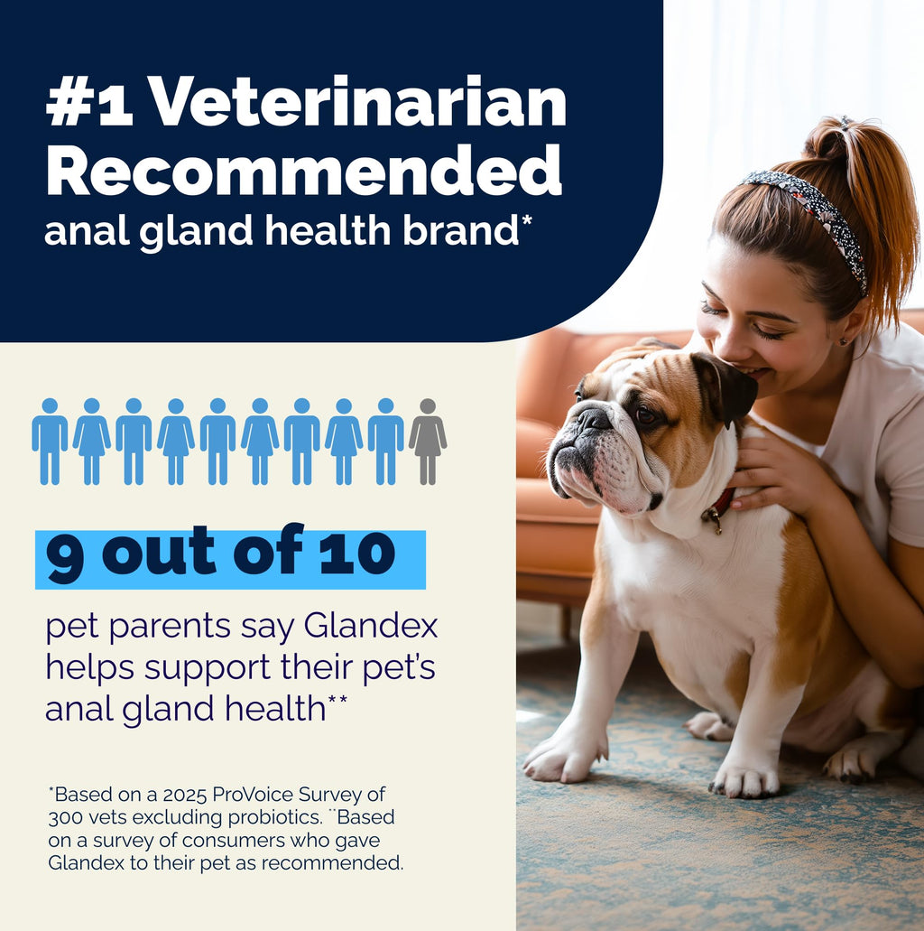 Anal Gland Soft Chews for Dogs