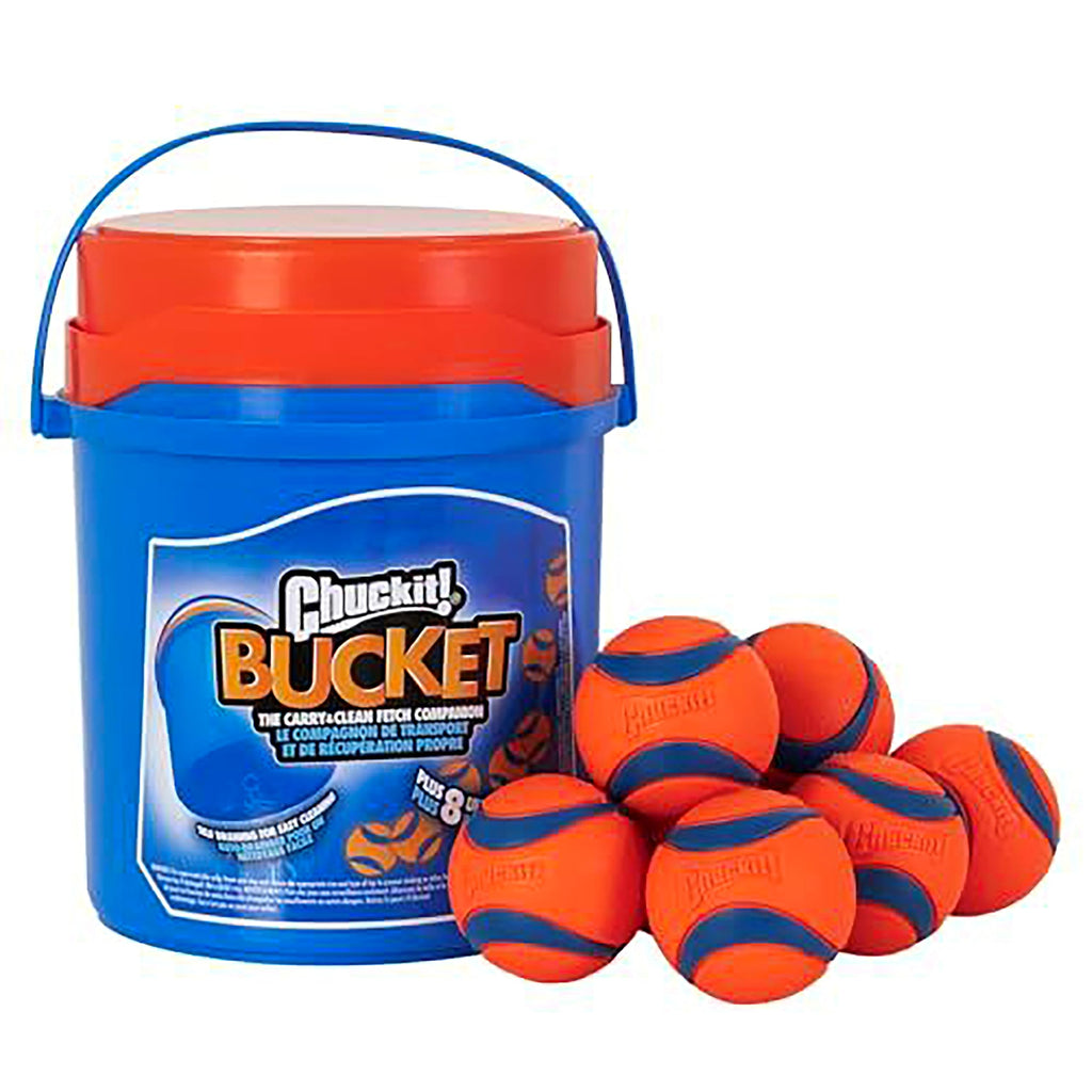 Indoor Fetch Ball & Launcher Set