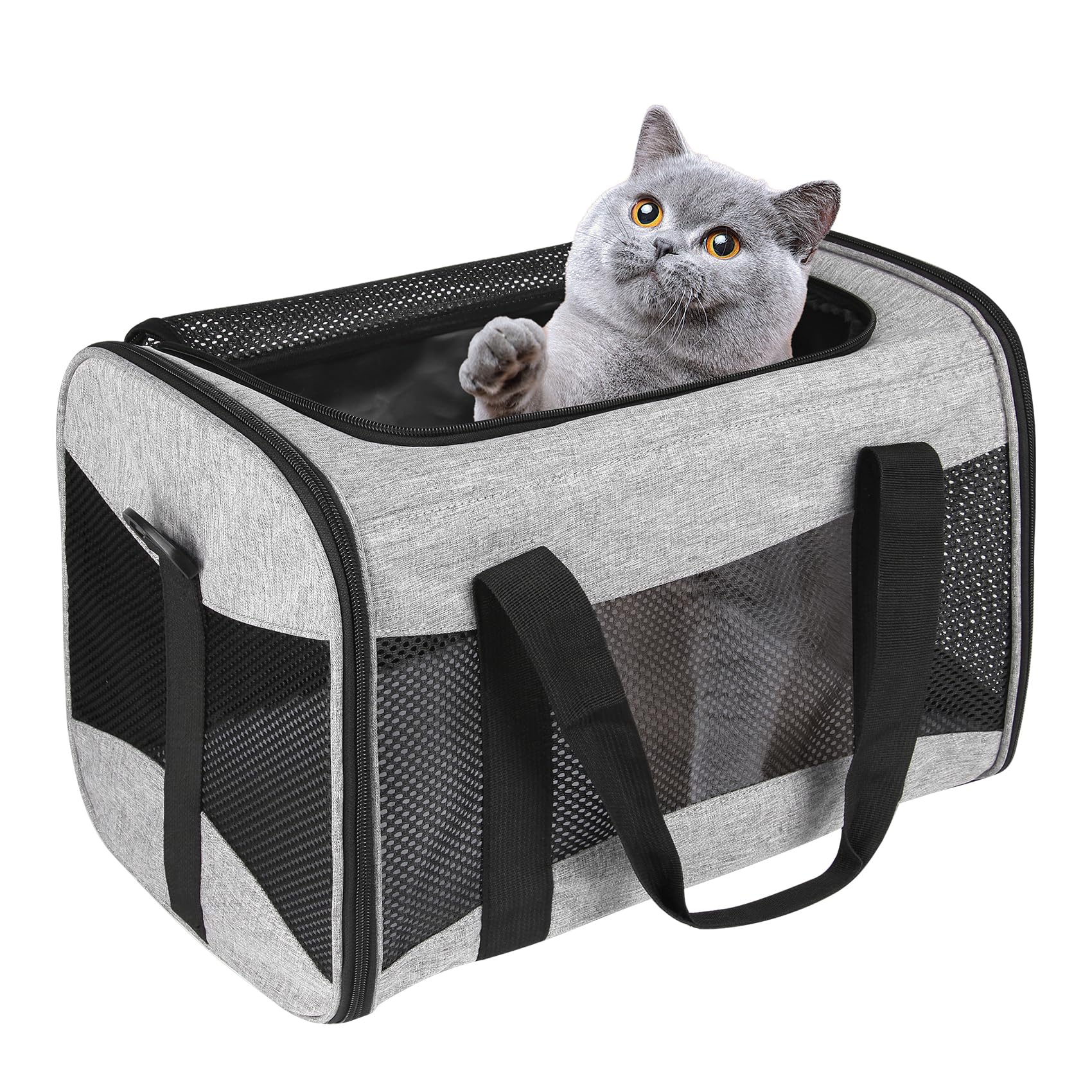Airline-Approved Pet Carrier