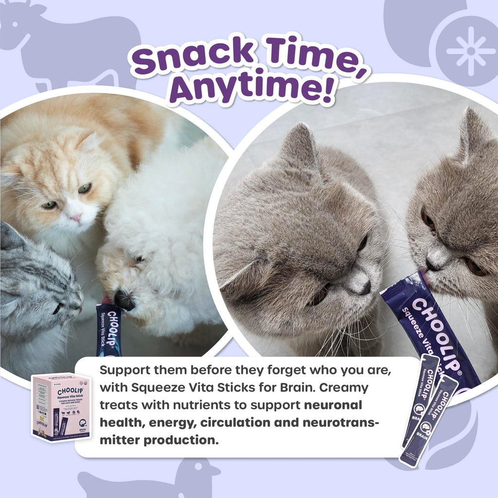 Squeeze Vita Stick Functional Treats (49 Sticks)