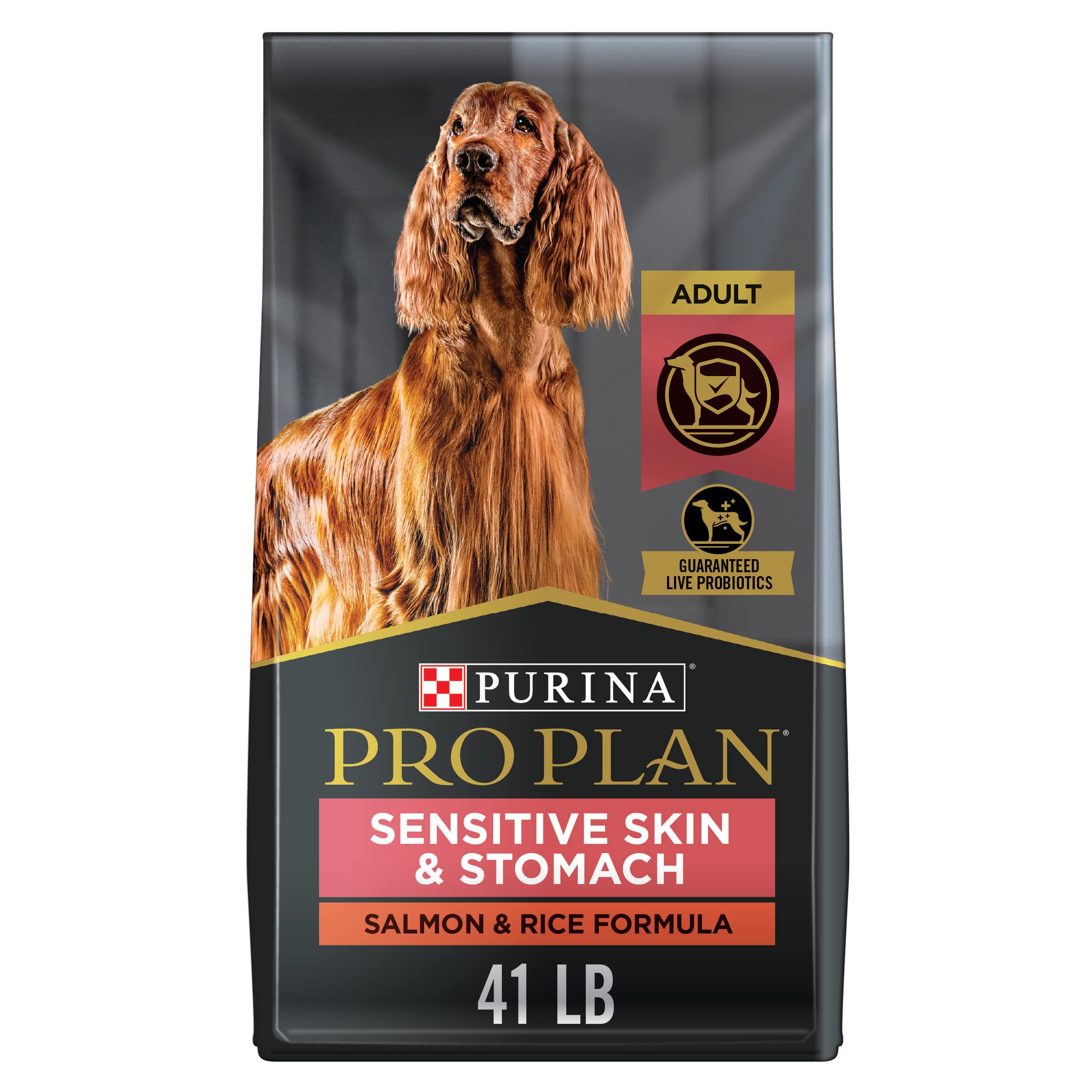 Turkey & Rice Senior Wet Dog Food (12 Pack)