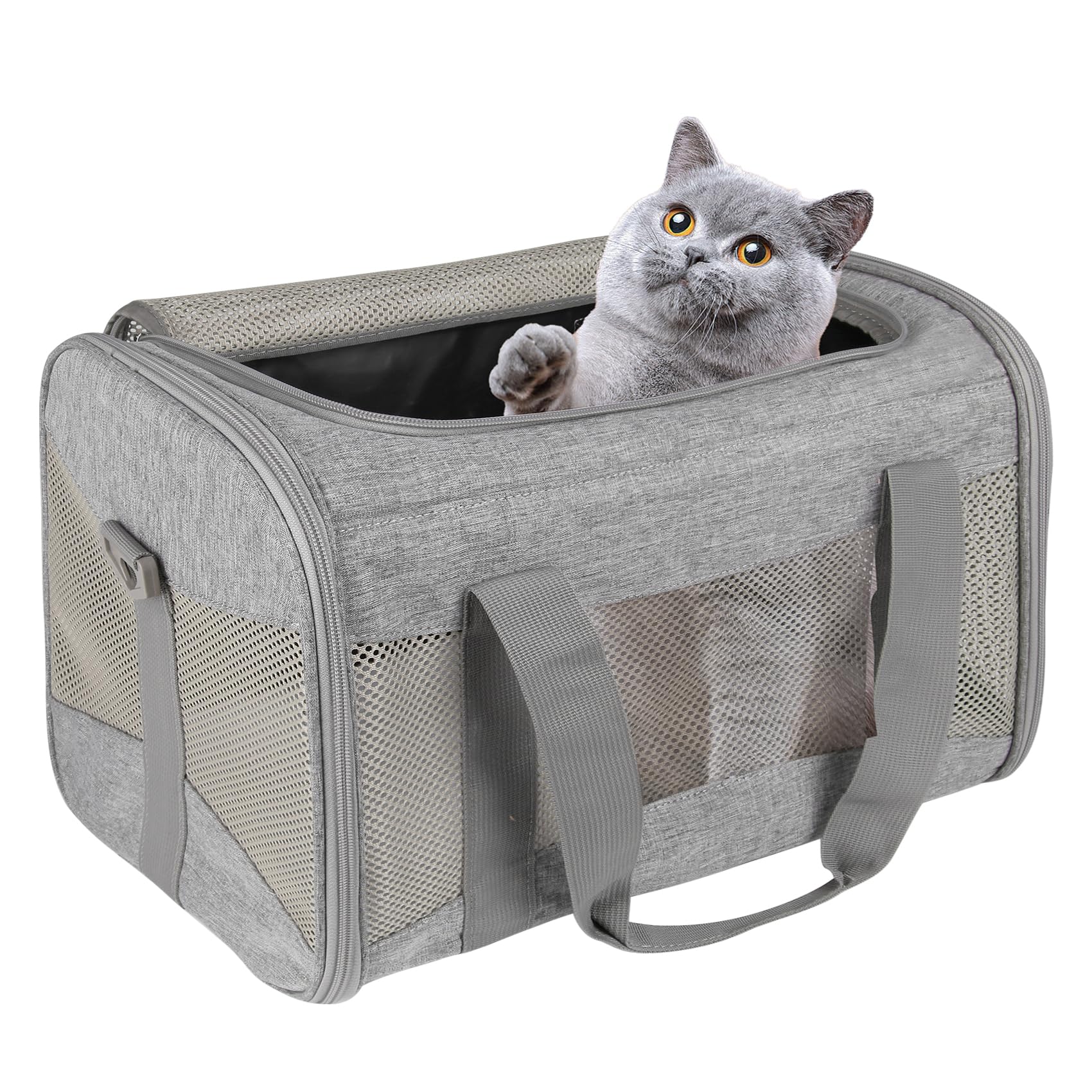 Airline-Approved Pet Carrier