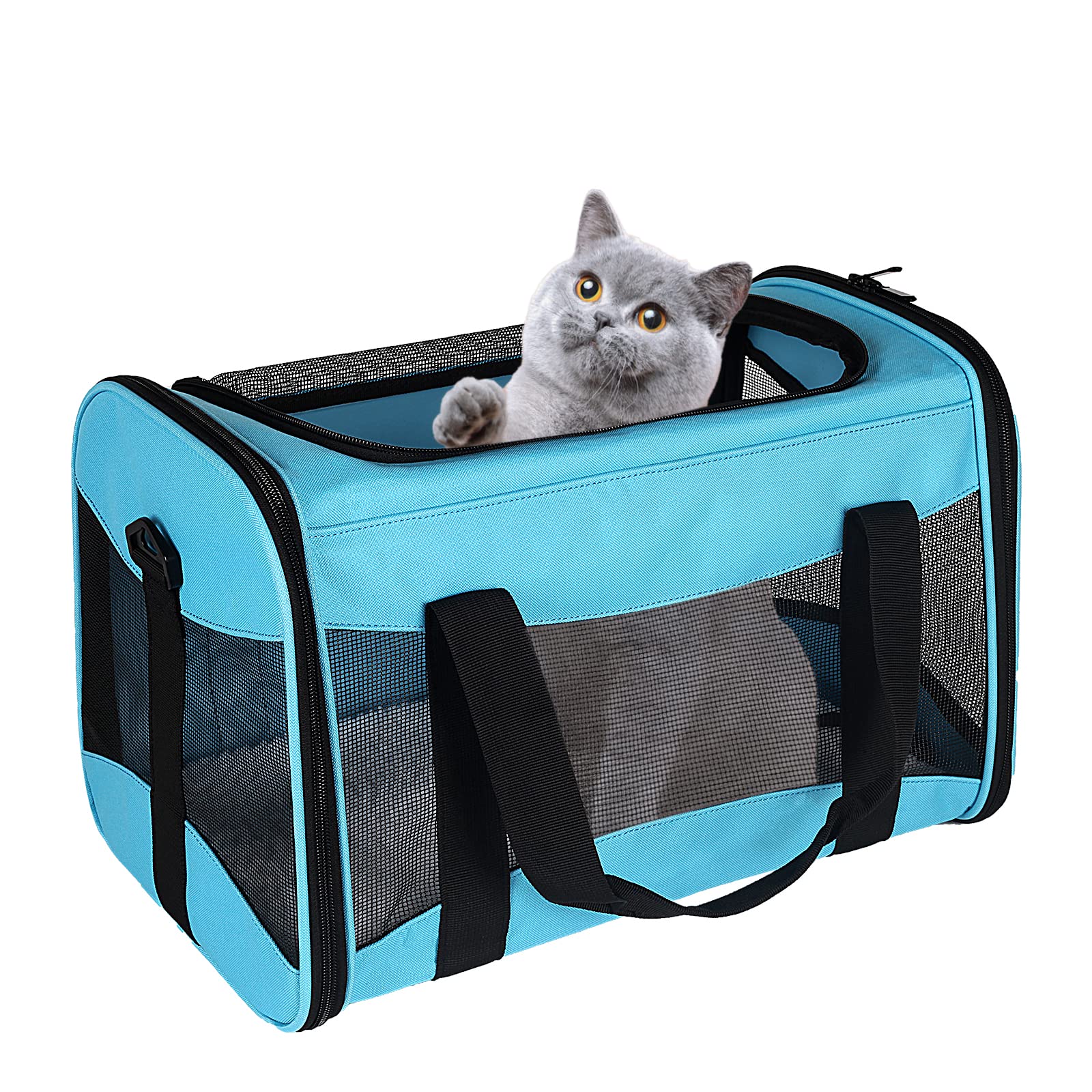 Airline-Approved Pet Carrier
