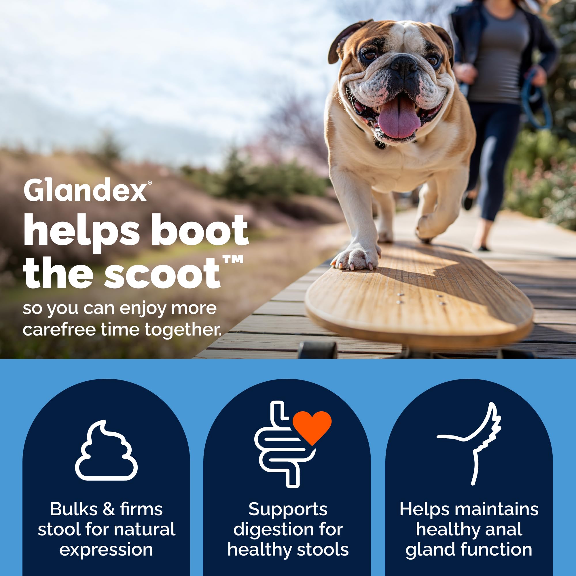 Anal Gland Soft Chews for Dogs