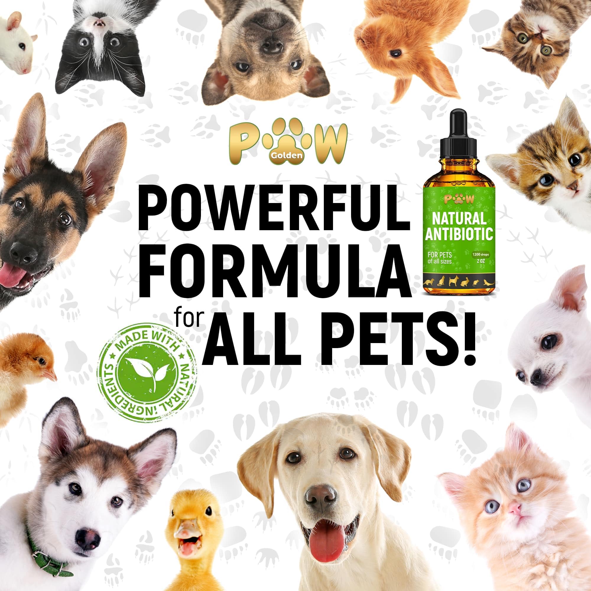 Natural Pet Antibiotic Liquid Supplement