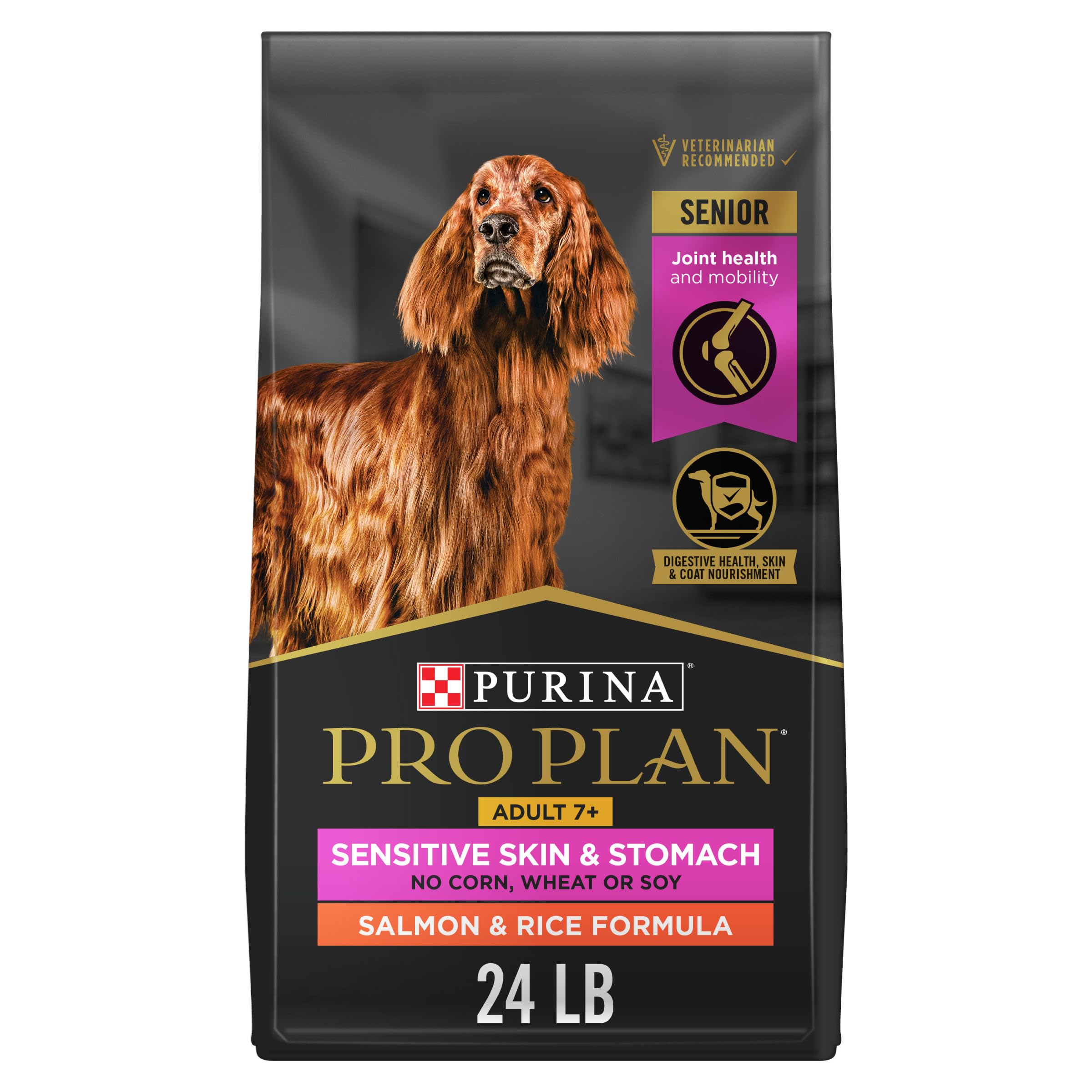 Turkey & Rice Senior Wet Dog Food (12 Pack)