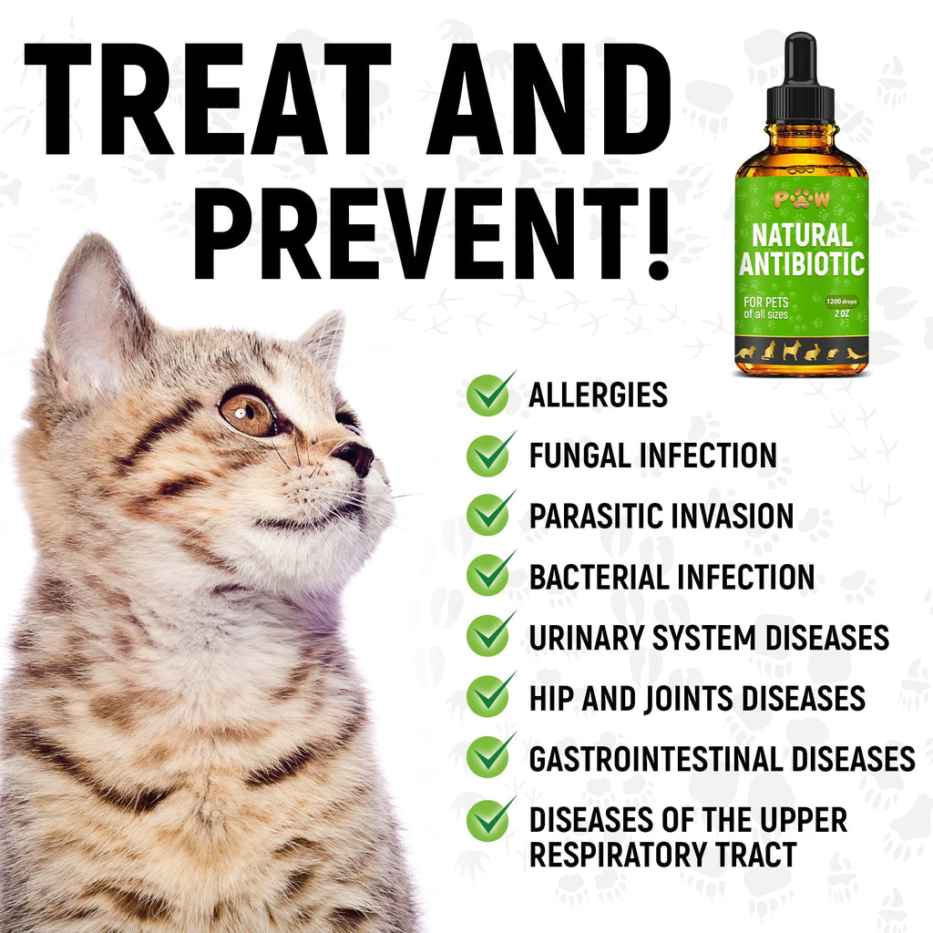 Natural Pet Antibiotic Liquid Supplement
