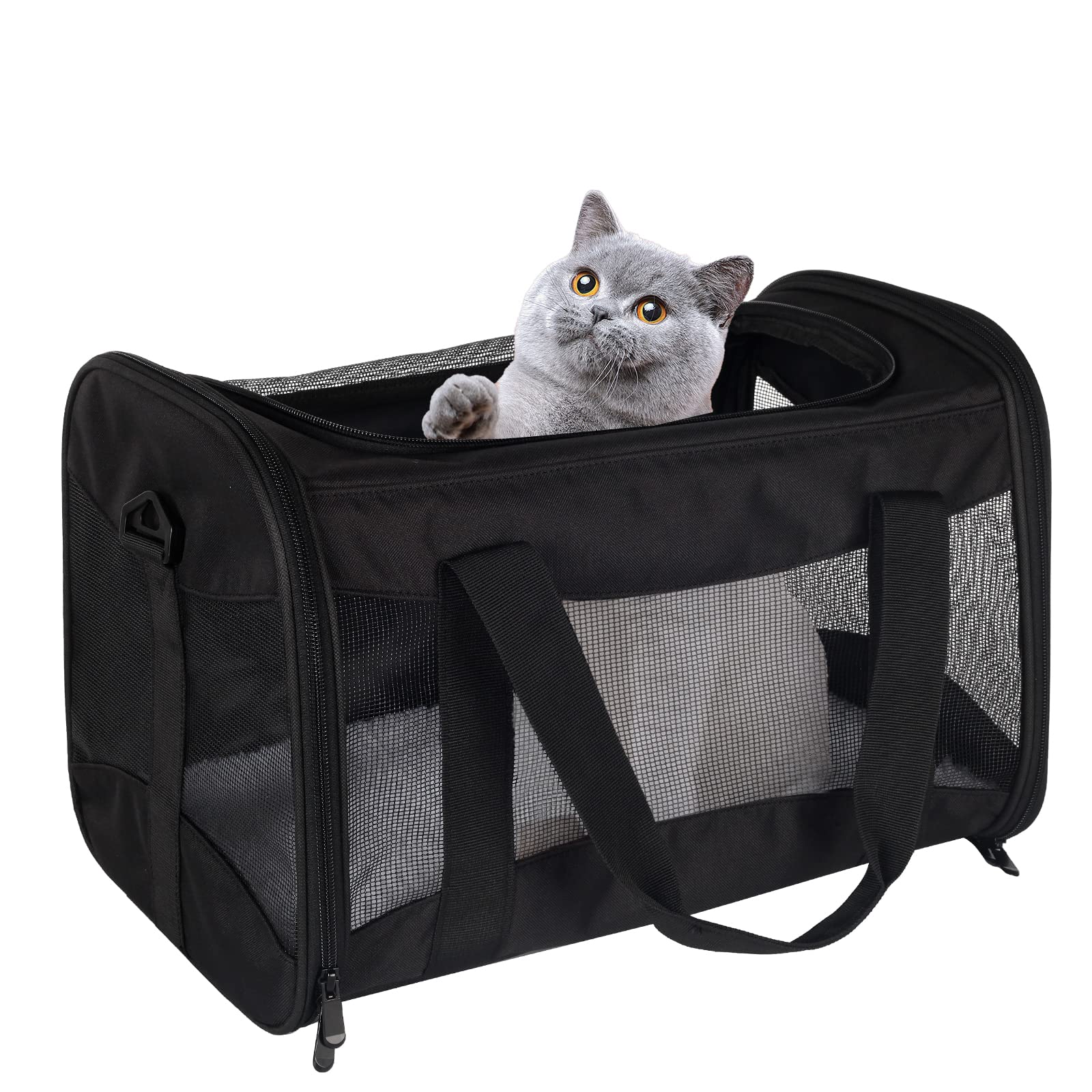 Airline-Approved Pet Carrier