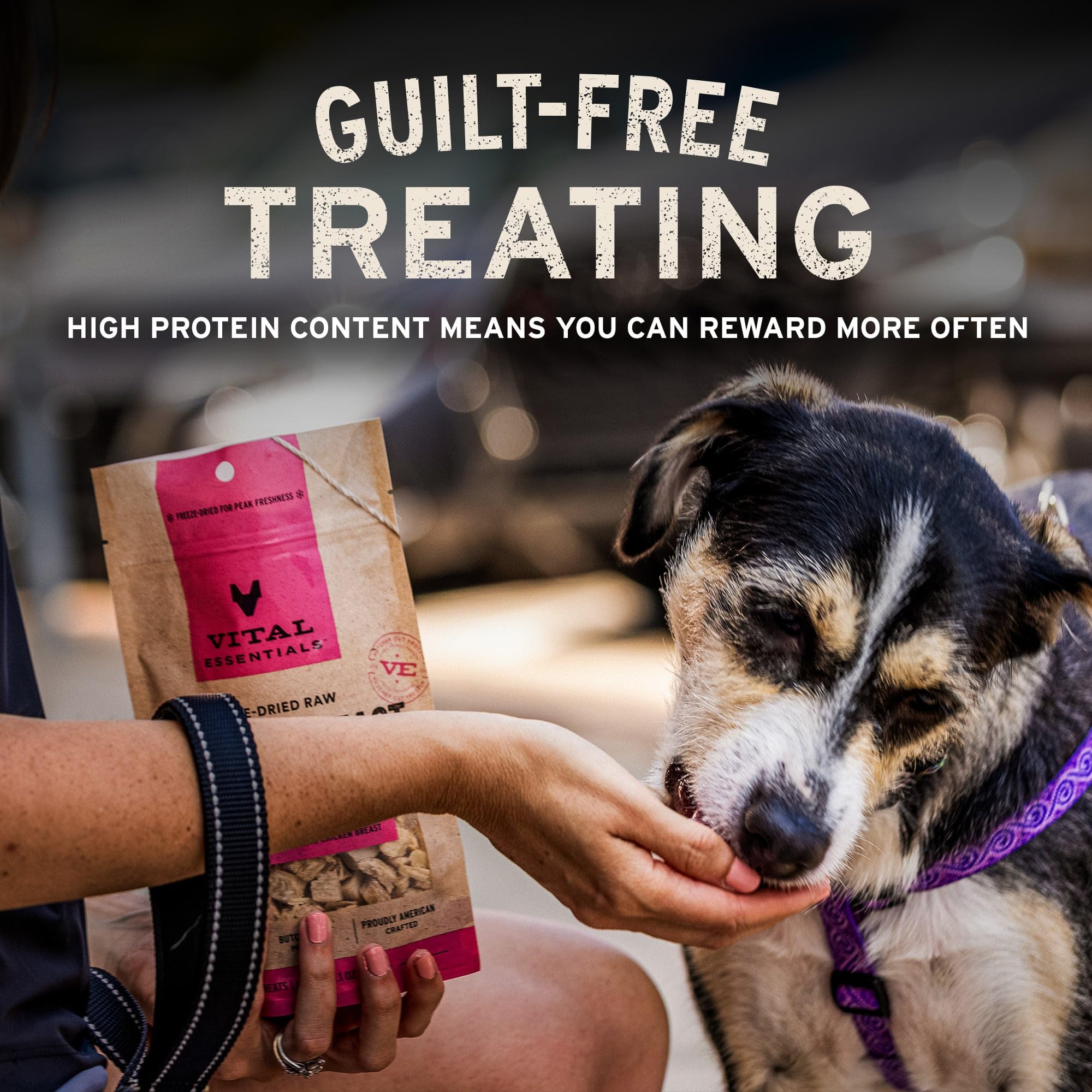 Freeze-Dried Beef Liver Dog Treats 15 oz