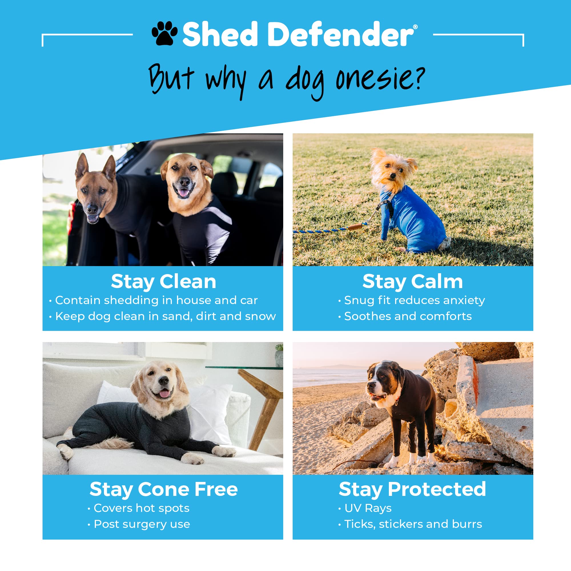 Dog Recovery Suit