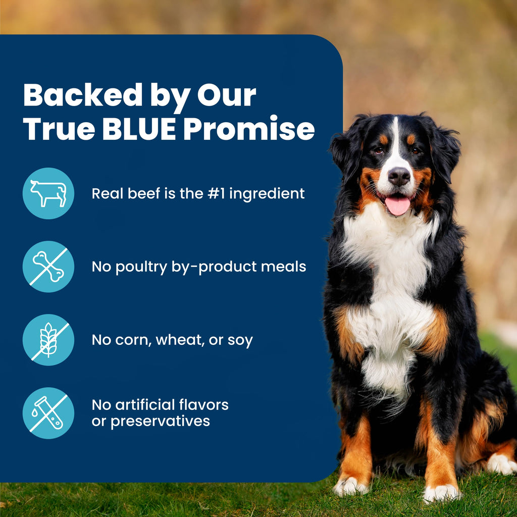 Life Protection Adult Dry Dog Food