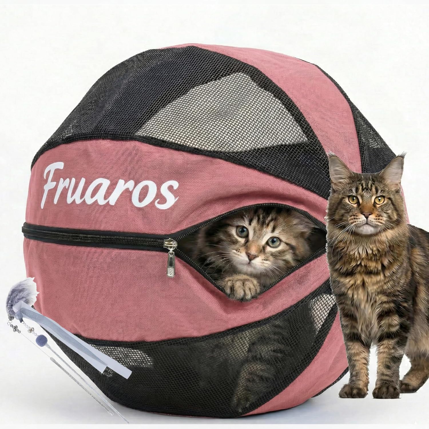 Outdoor Cat Exercise Ball 2.0