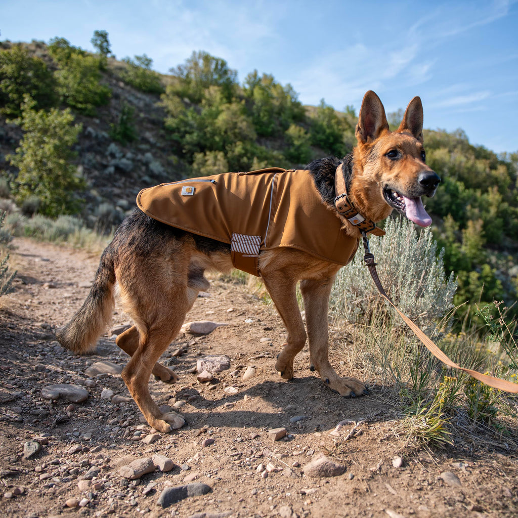 Water-Resistant Dog Jacket