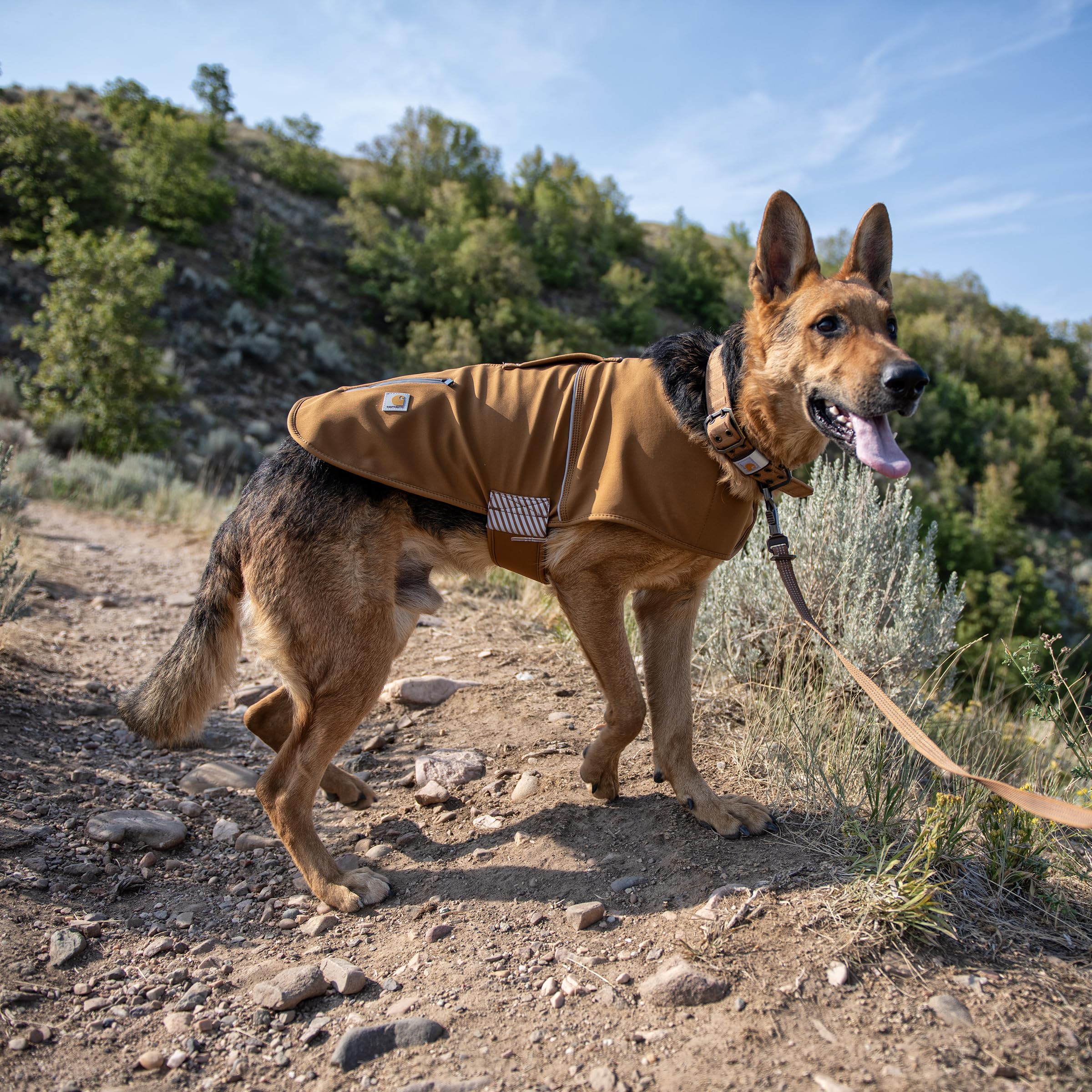 Water-Resistant Dog Jacket