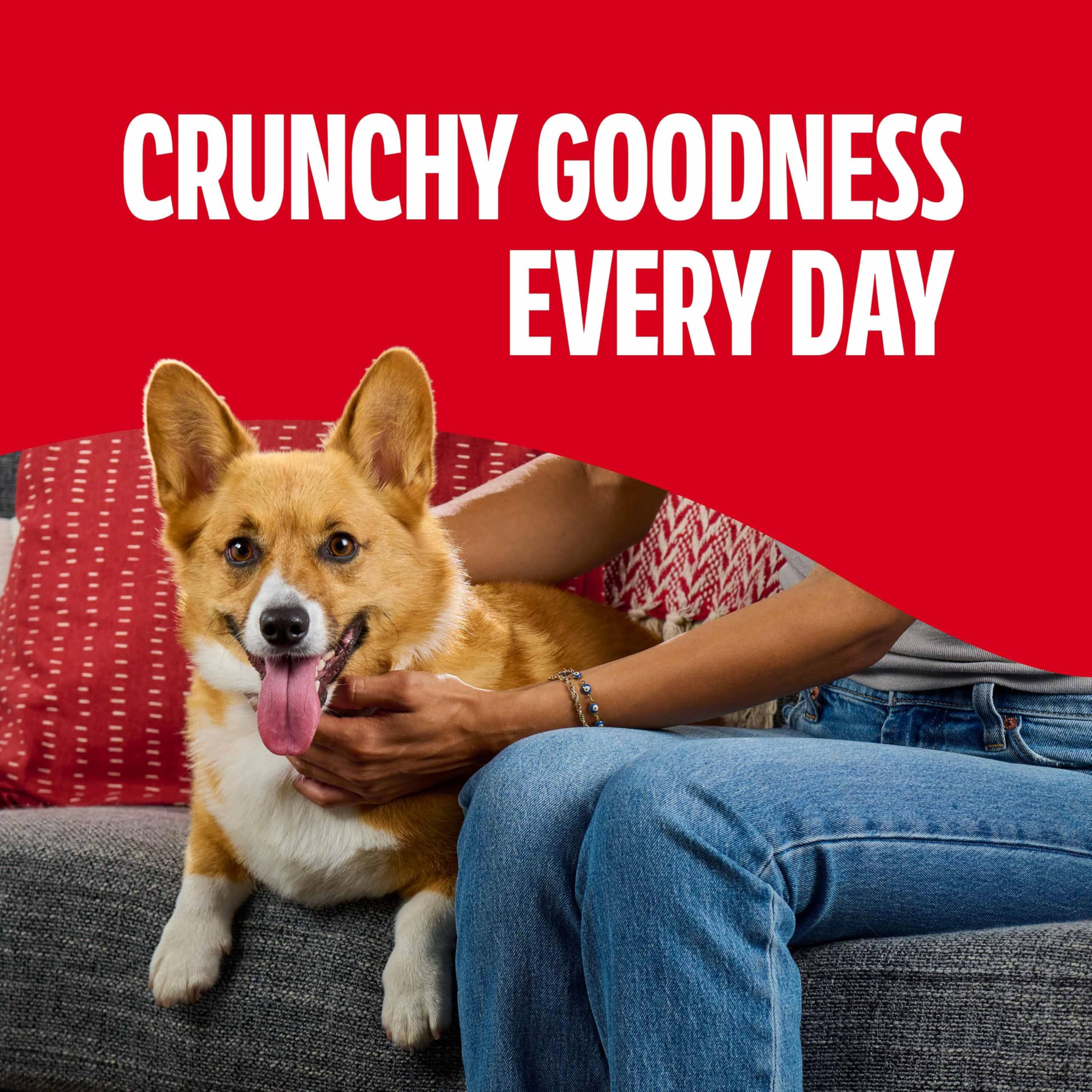 Milk-Bone Flavor Snacks Dog Treats