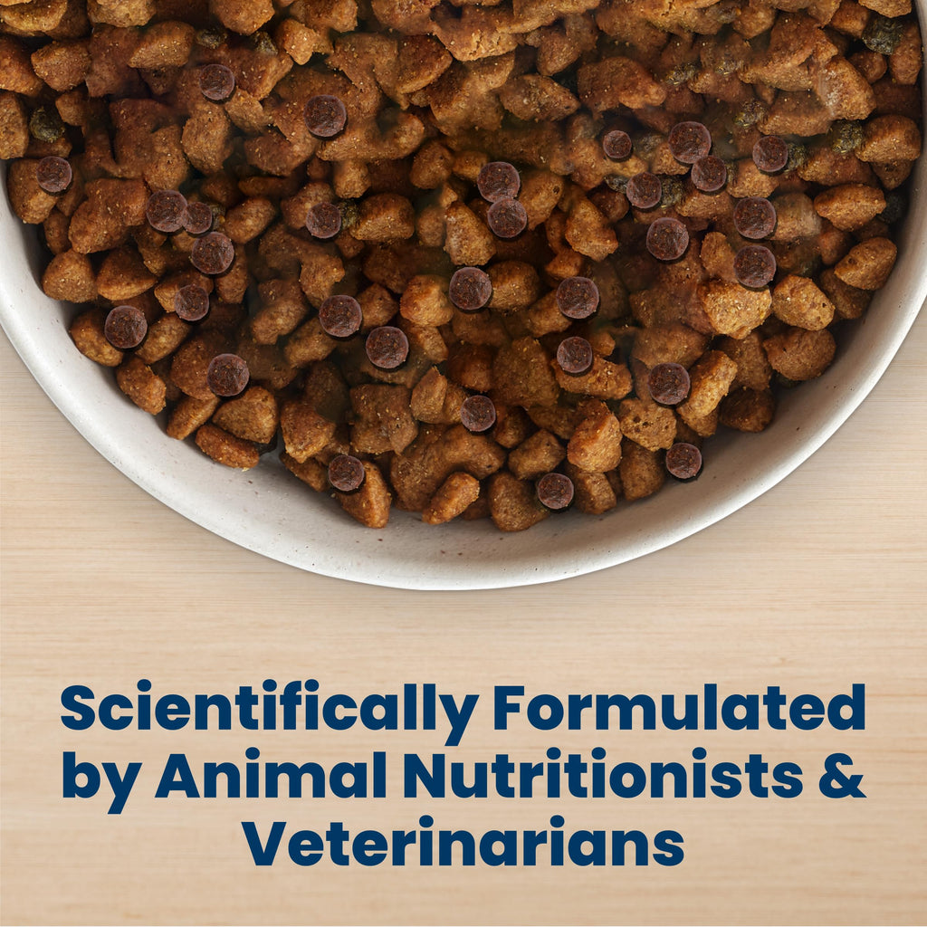 Life Protection Adult Dry Dog Food