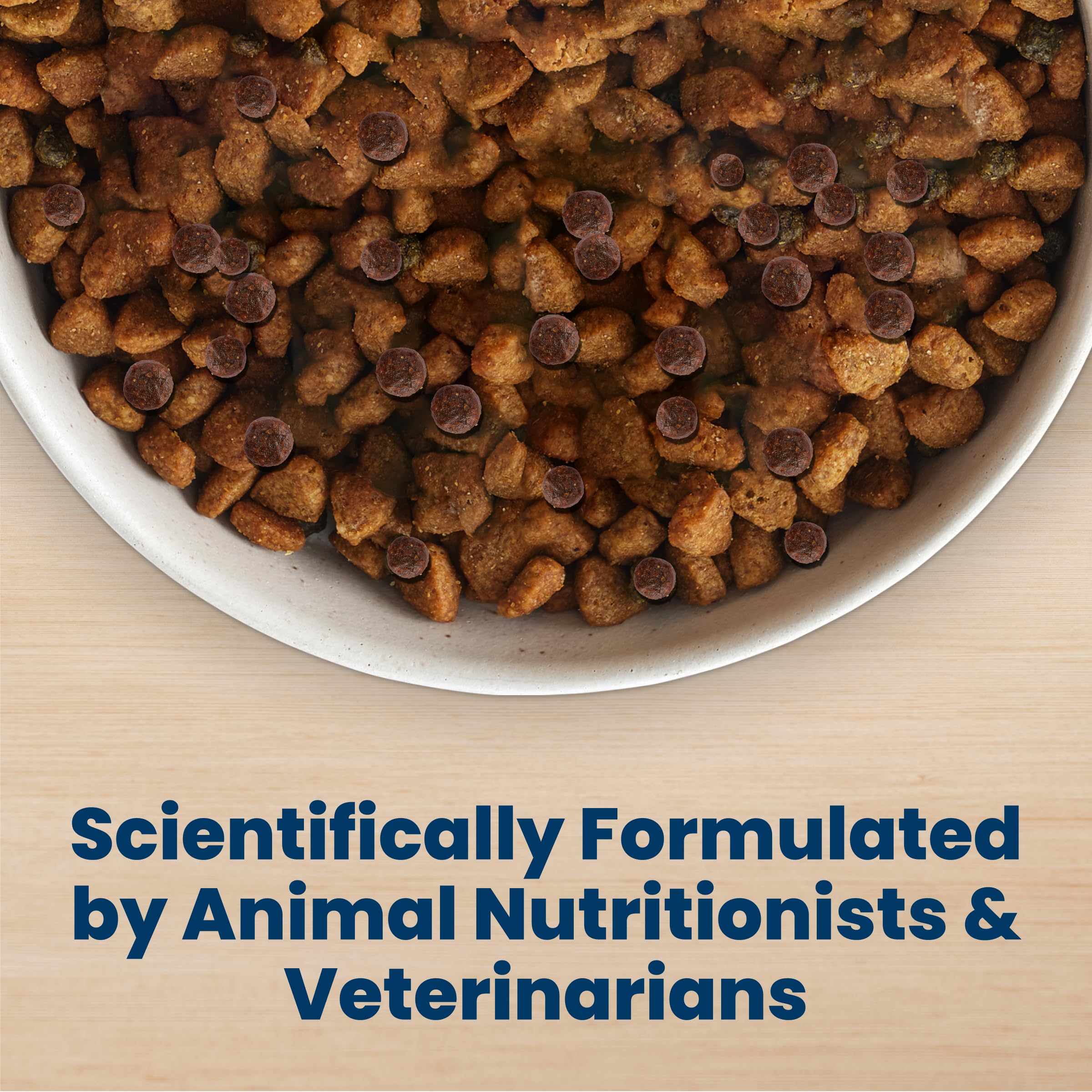 Life Protection Adult Dry Dog Food