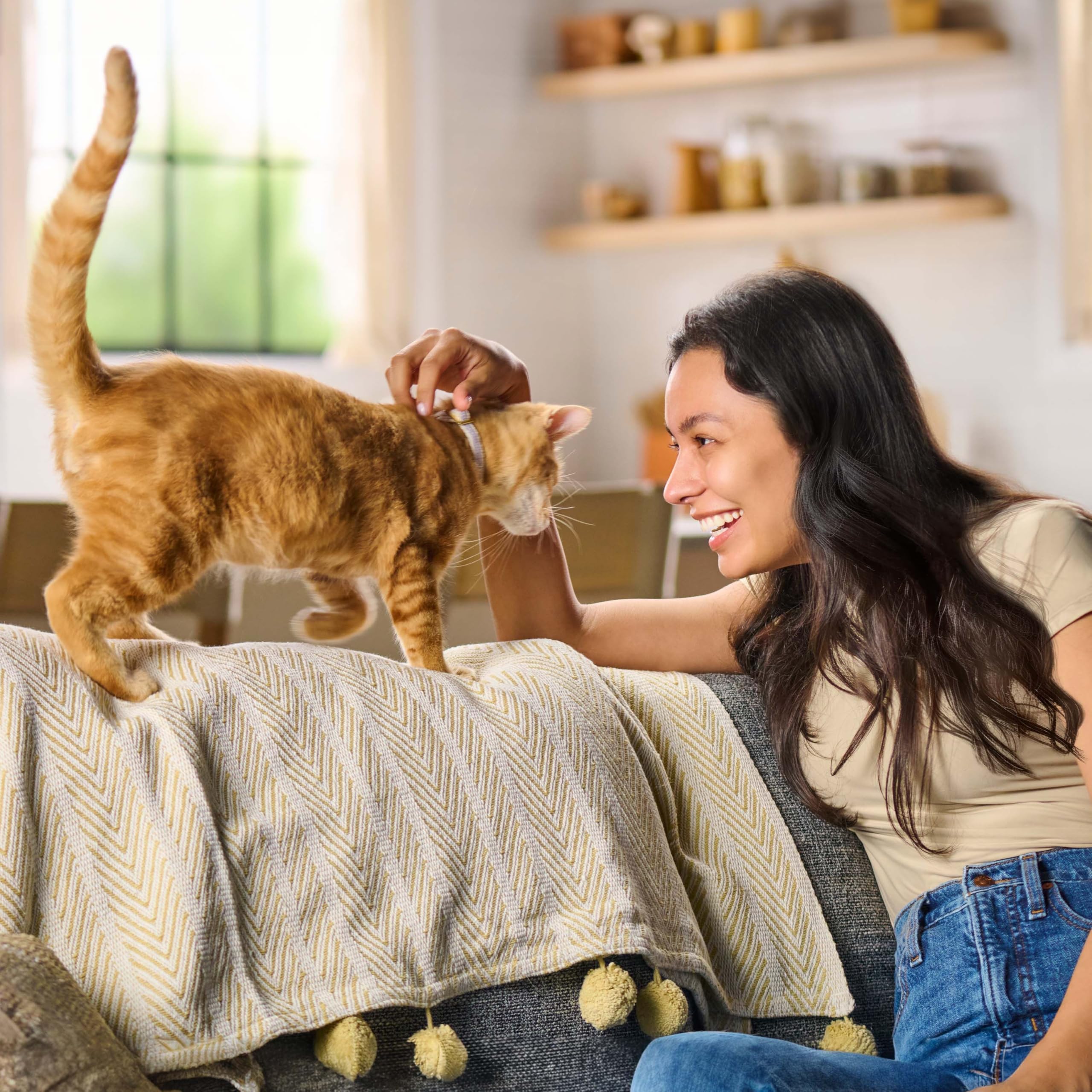 Original Choice Dry Cat Food (6 Pack)