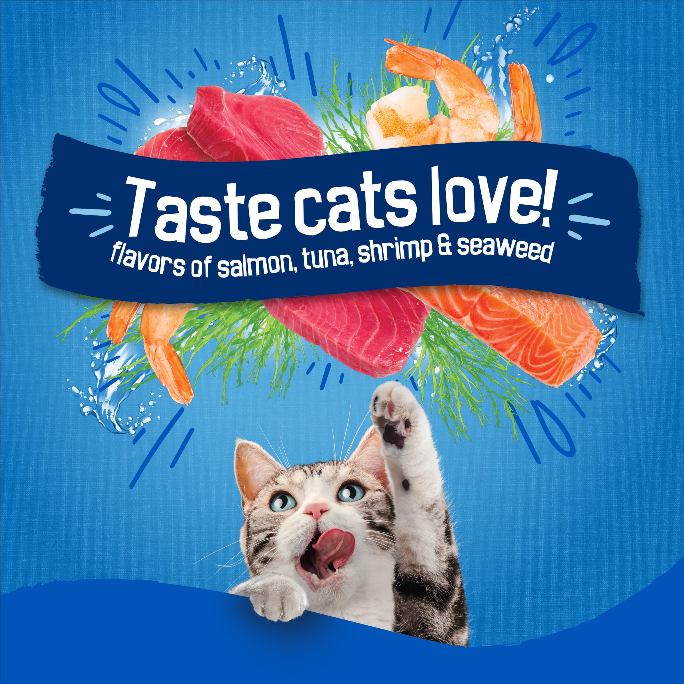 Seafood Sensations Dry Cat Food (4 Pack)