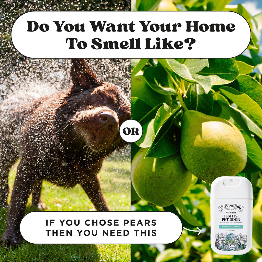 Pet Odor Remover Spray