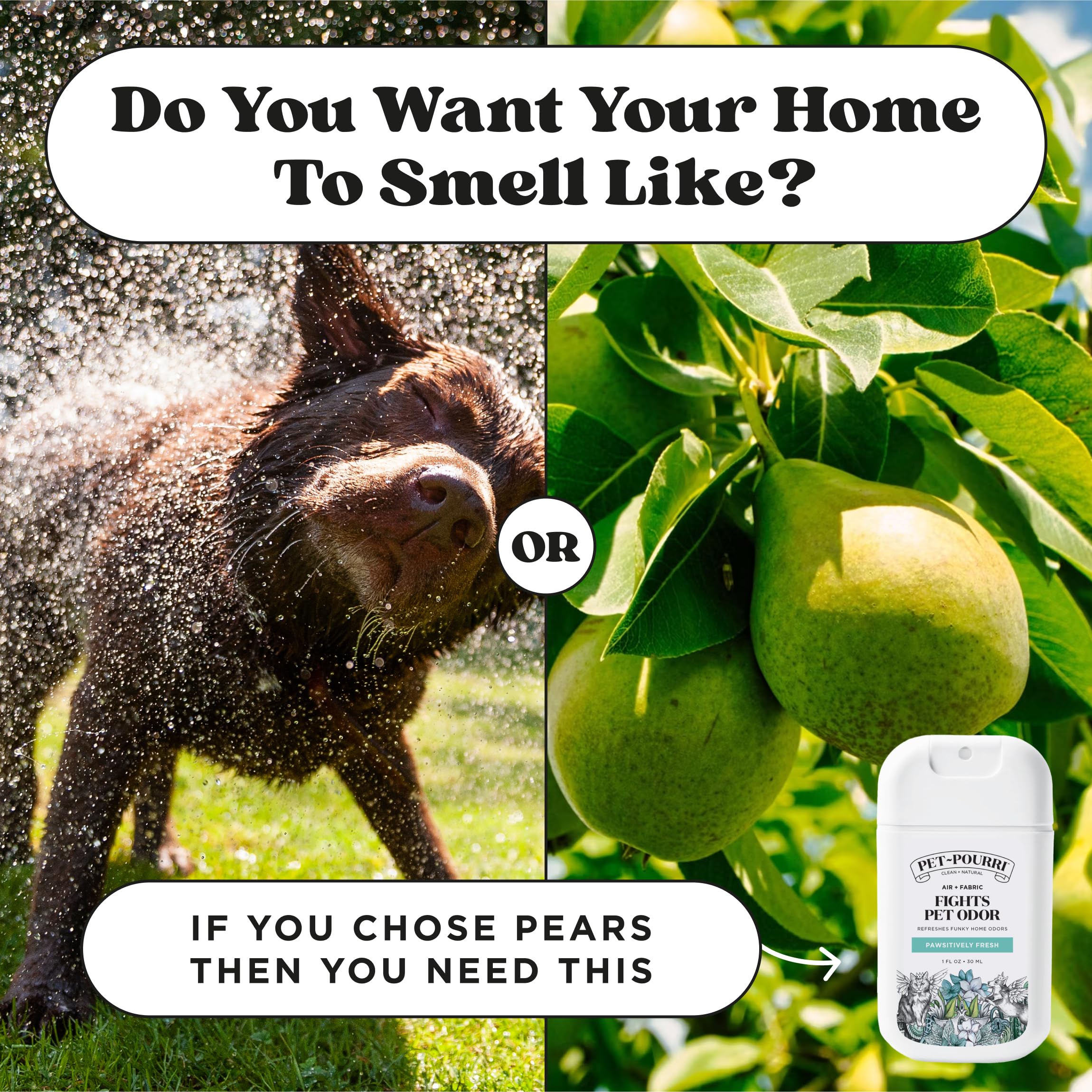 Pet Odor Remover Spray