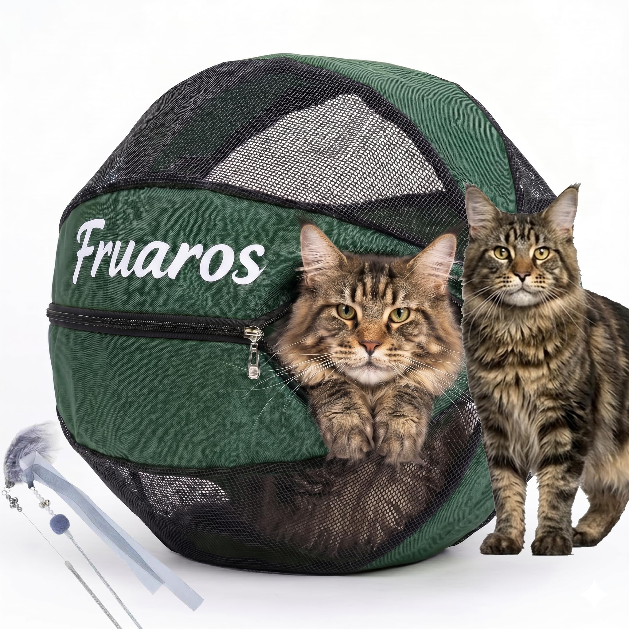Outdoor Cat Exercise Ball 2.0